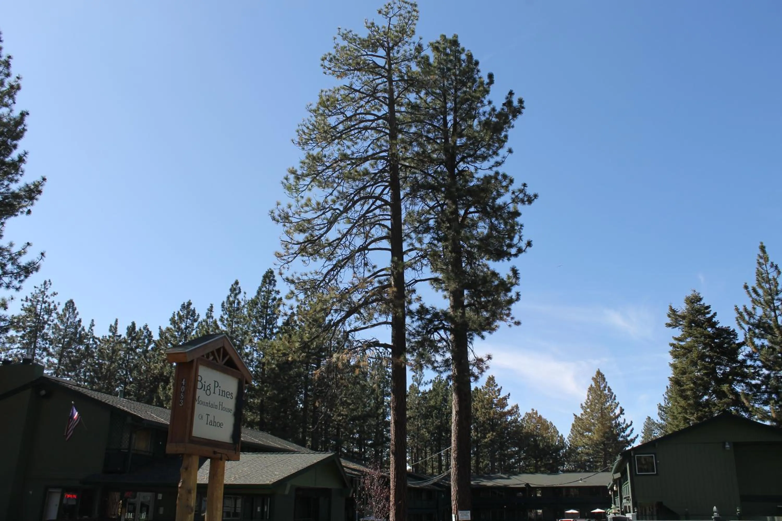 Property building in Big Pines Mountain House