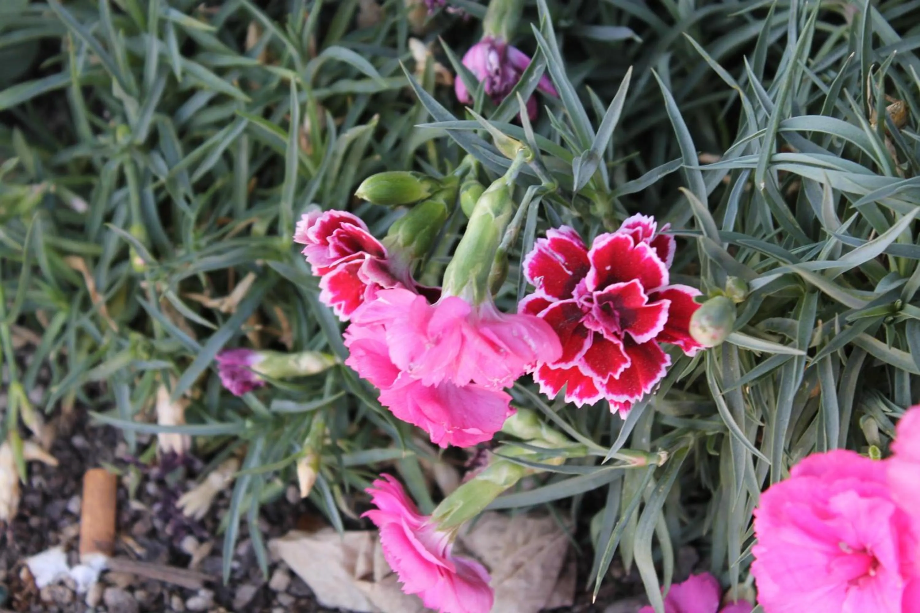 Decorative detail in Big Pines Mountain House