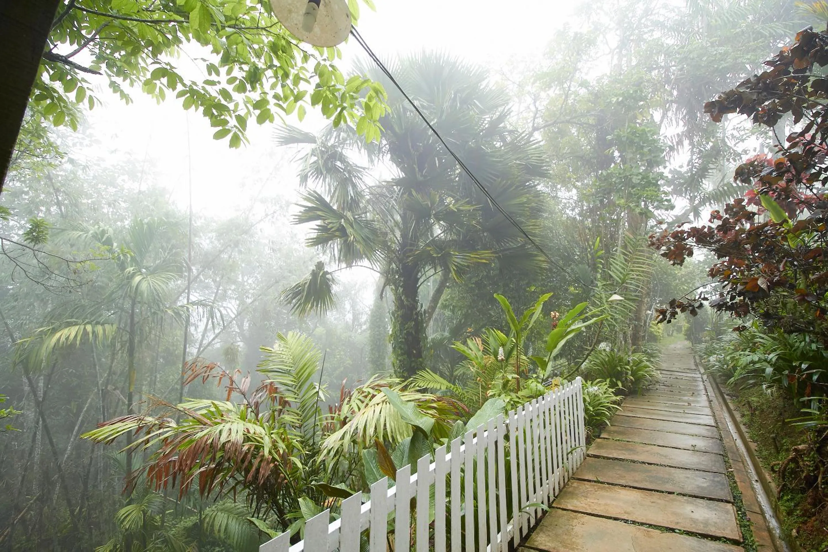 Garden in Bellevue The Penang Hill Hotel, Bukit Bendera
