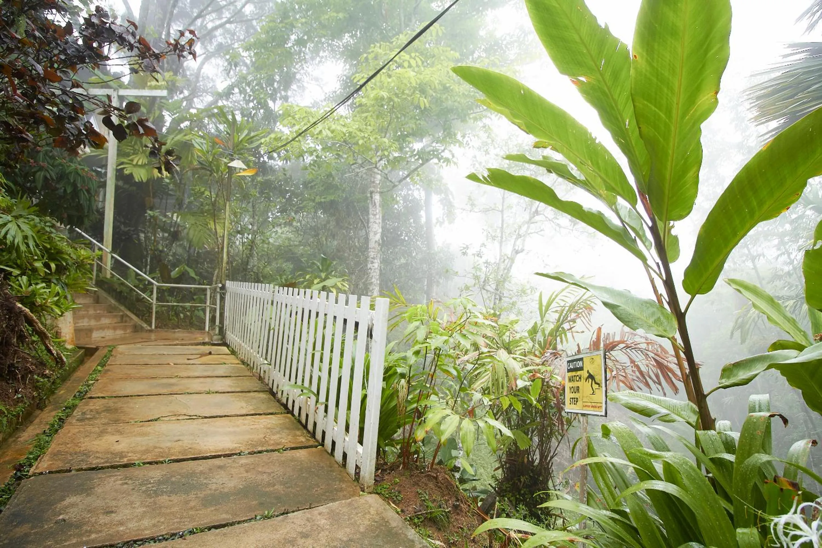Garden in Bellevue The Penang Hill Hotel, Bukit Bendera