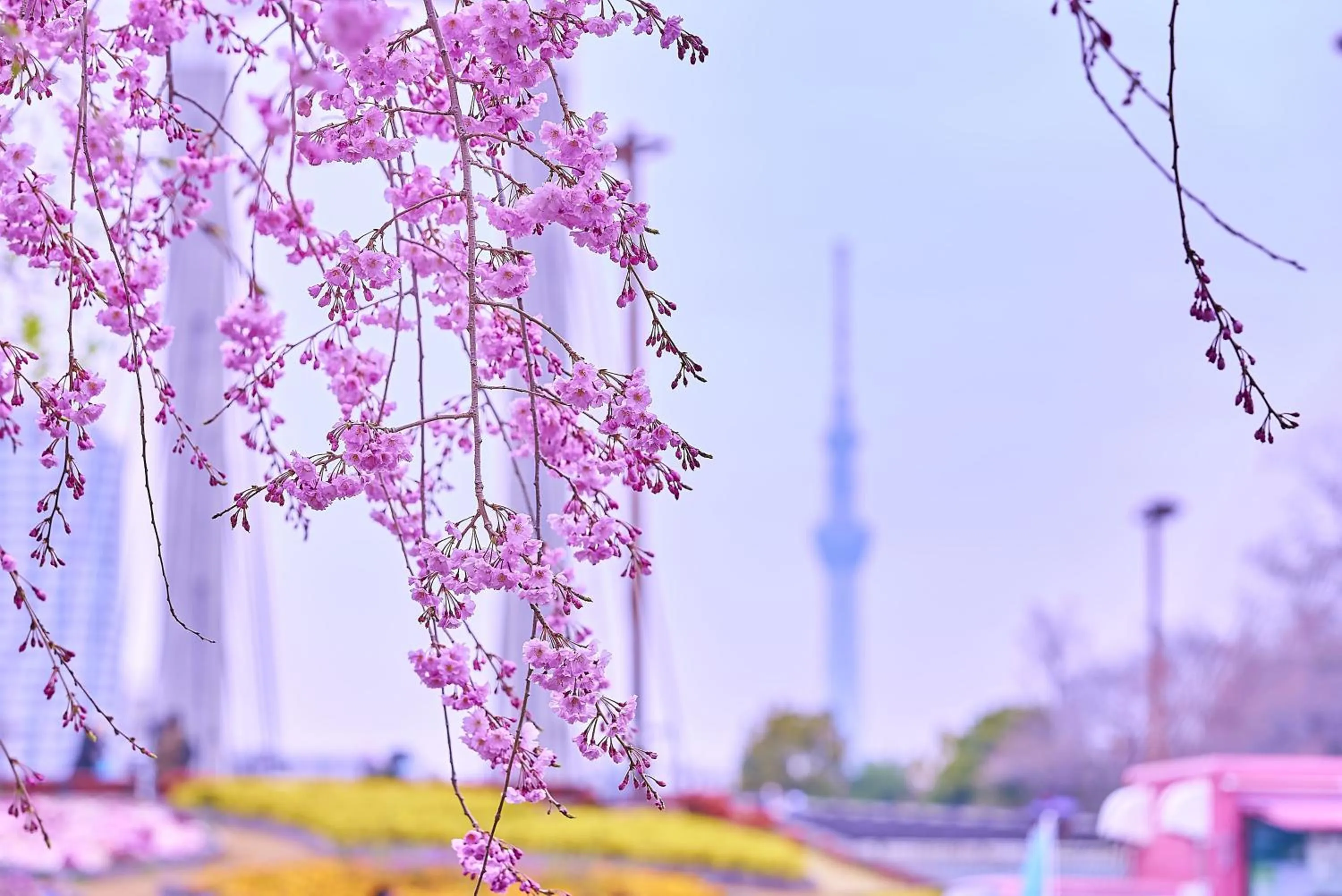 Area and facilities in Tokyo Bay Shiomi Prince Hotel