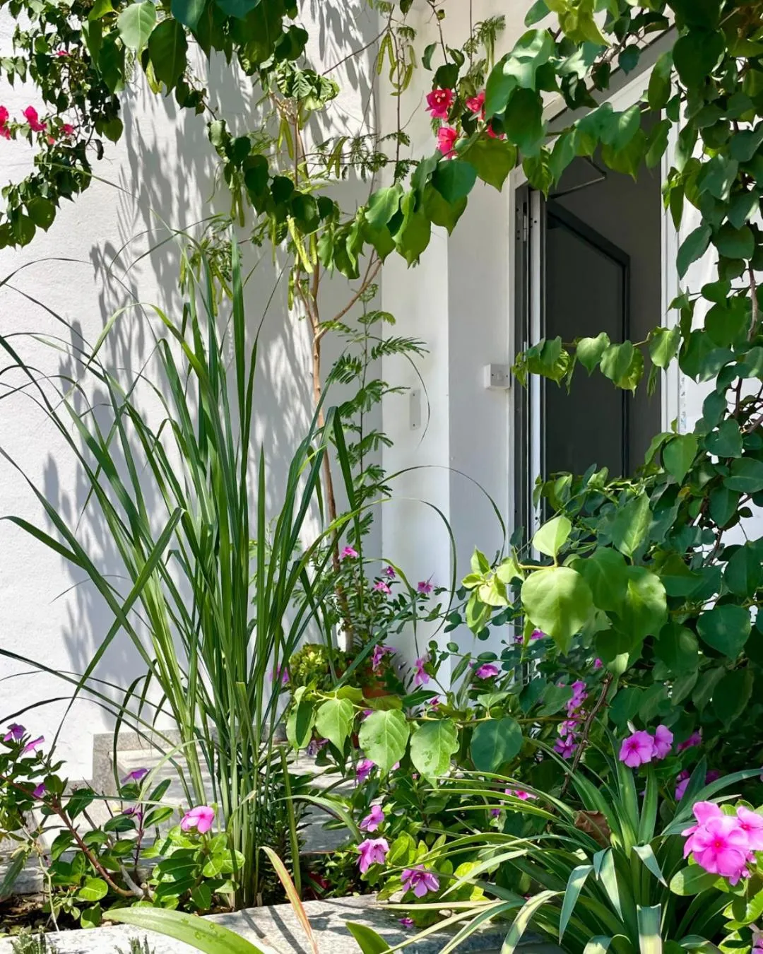 Day in RIX Apartments