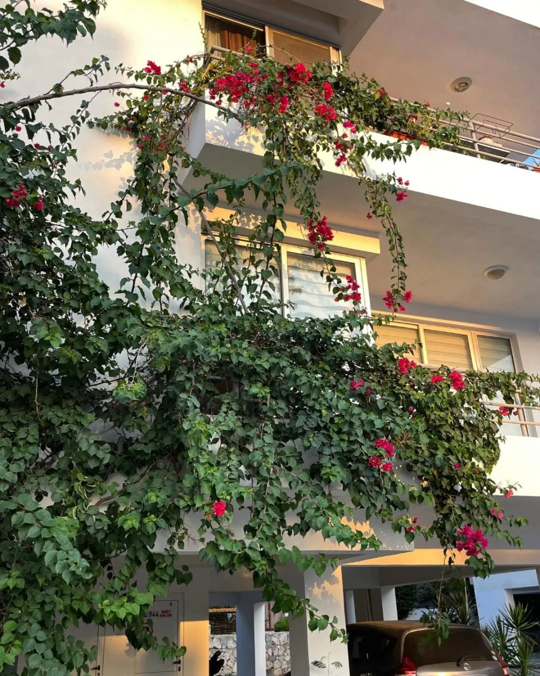 Property building in RIX Apartments