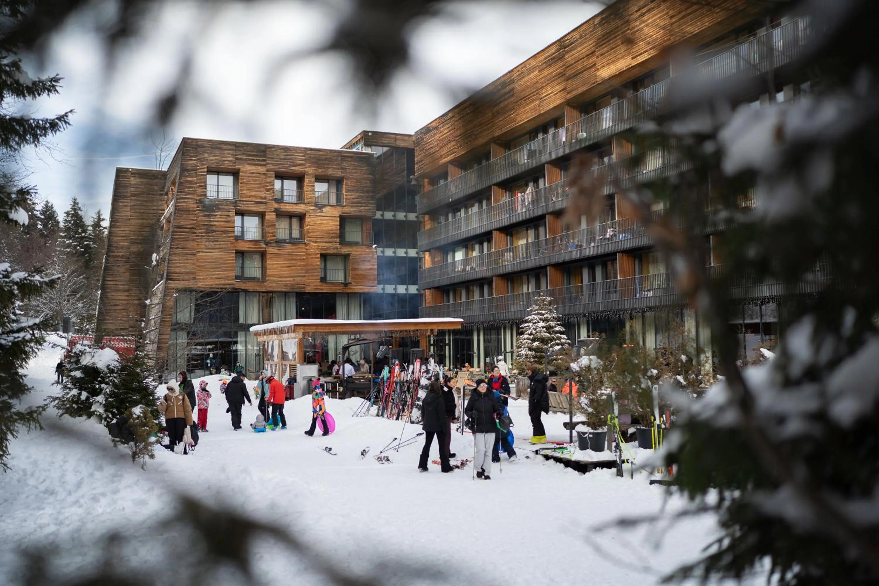 Garden in Kokhta Bakuriani