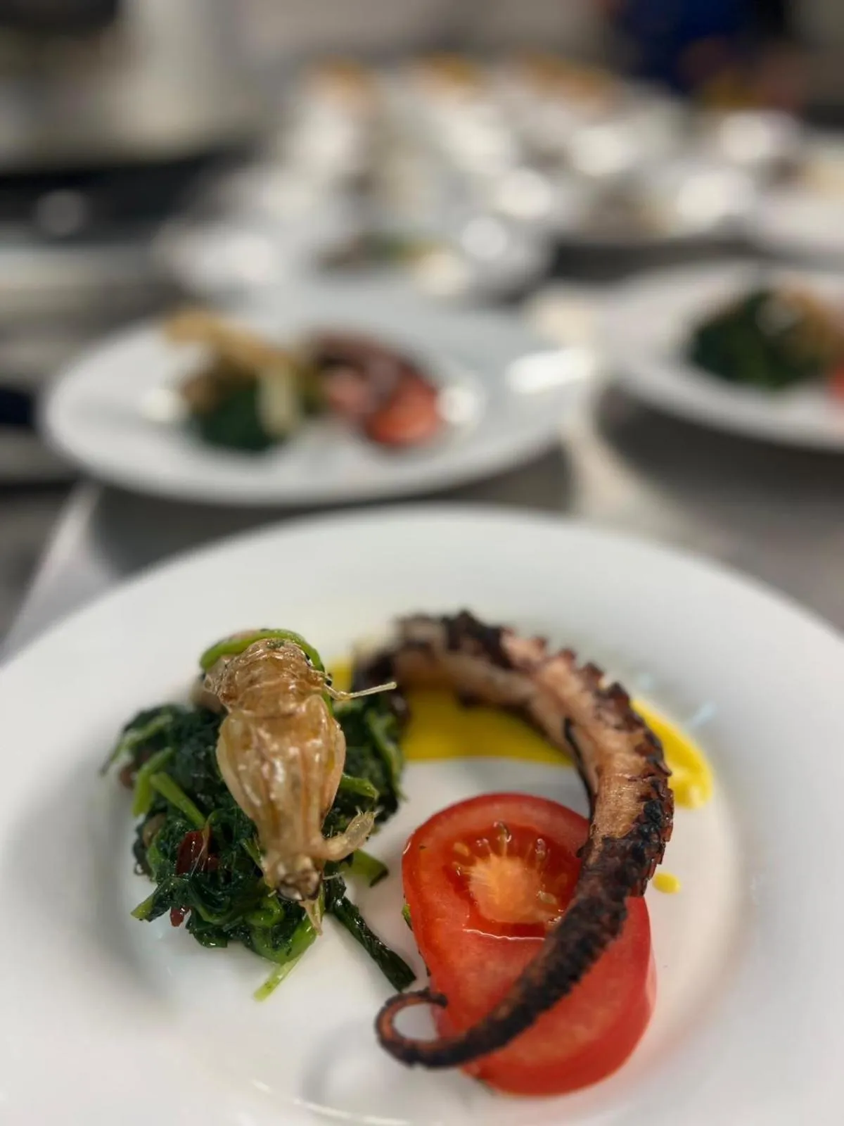 Food and drinks in Hotel Blurelda