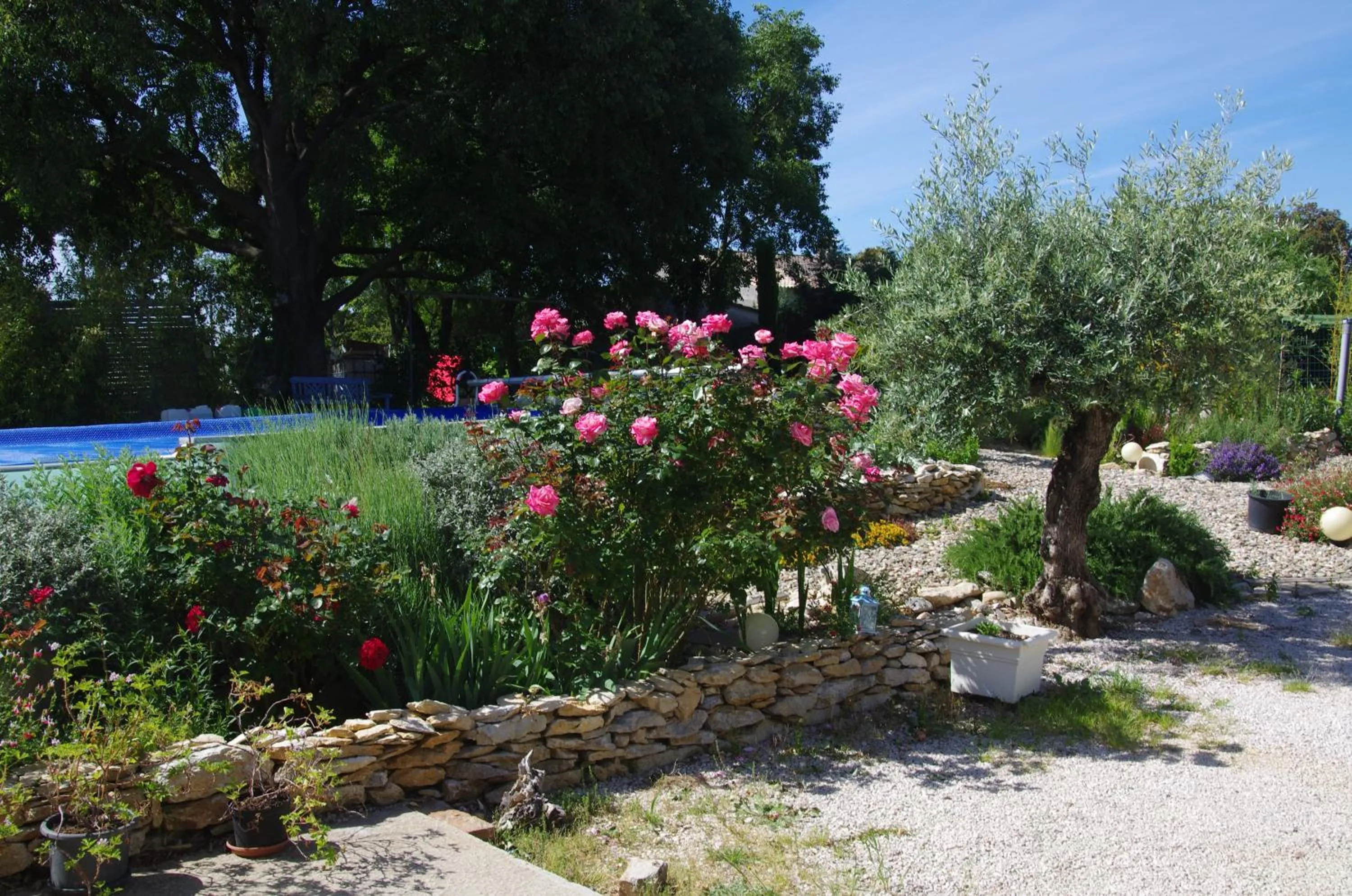 Cévennes / Méditerranée