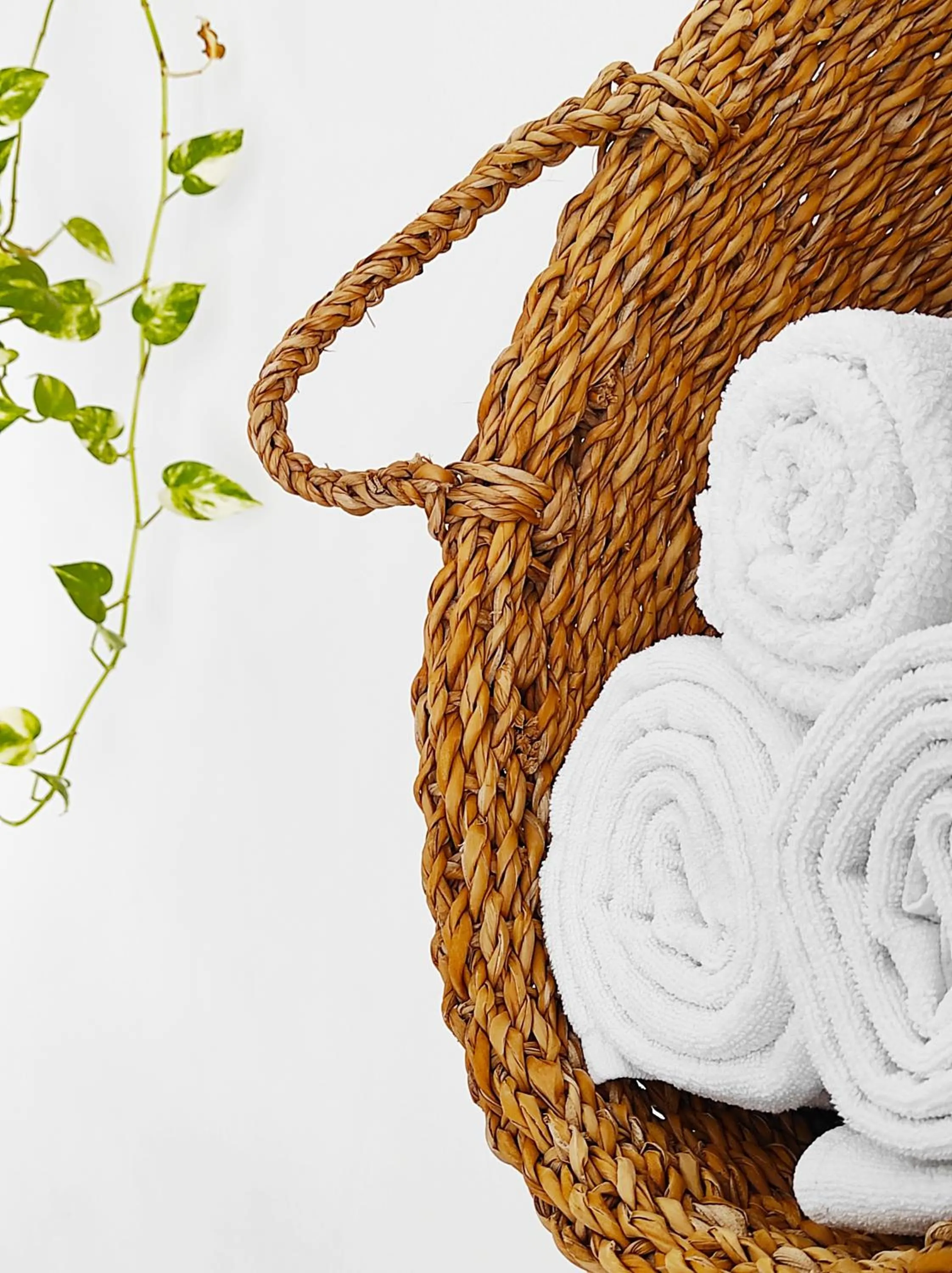 Decorative detail in Rooms Vita