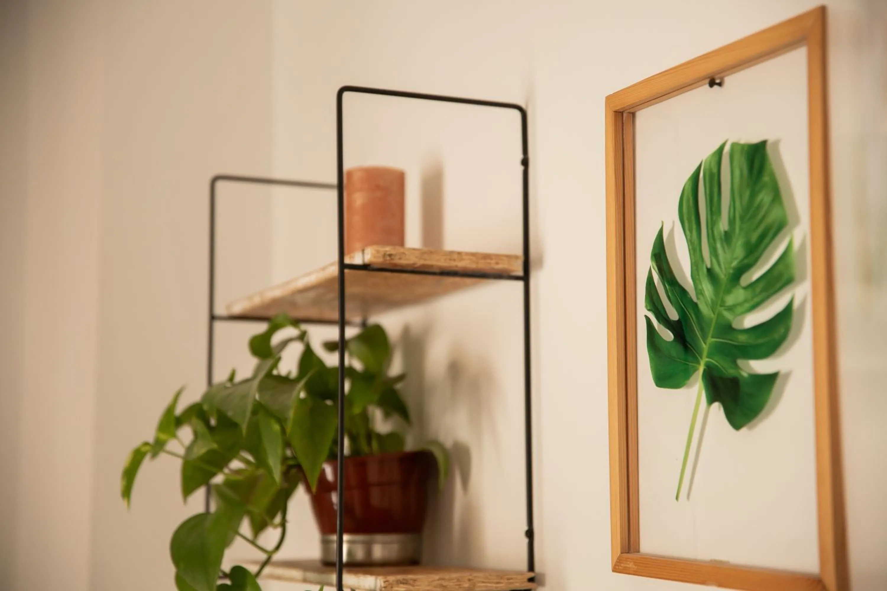 Decorative detail in Rooms Vita