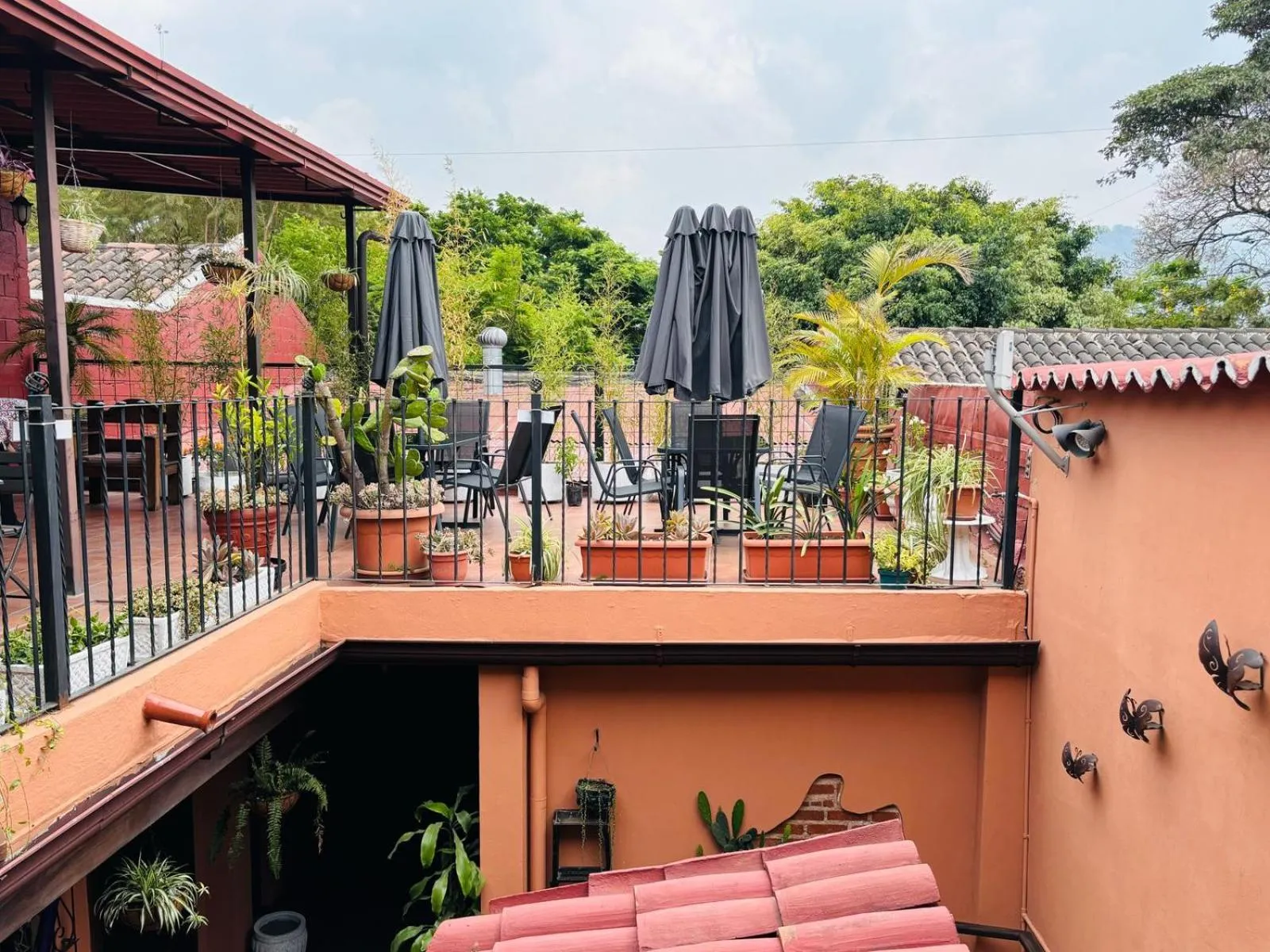 Balcony/Terrace in Hotel Chilero Y Café