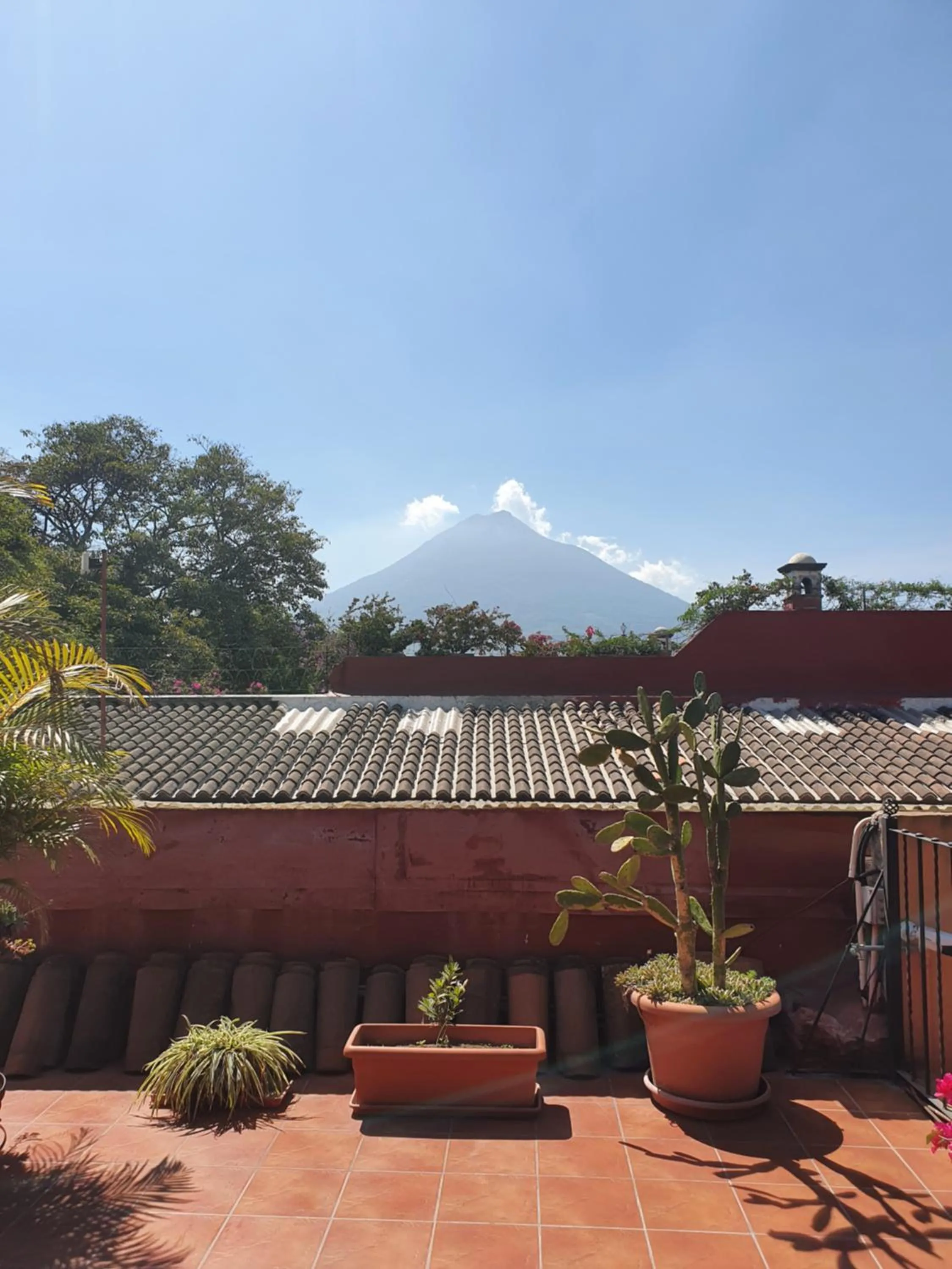 Hotel Chilero Y Café