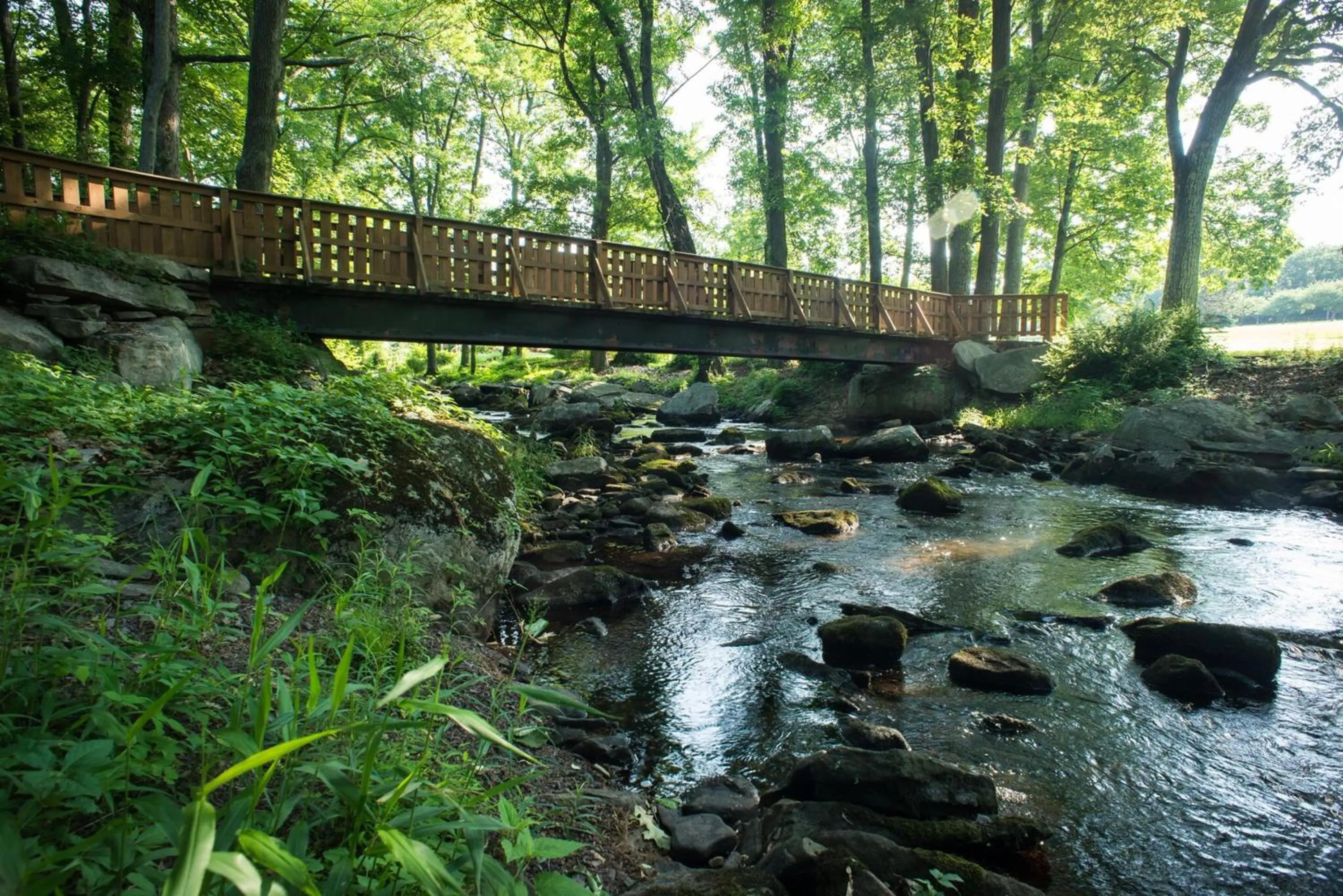 Activities in Skytop Lodge