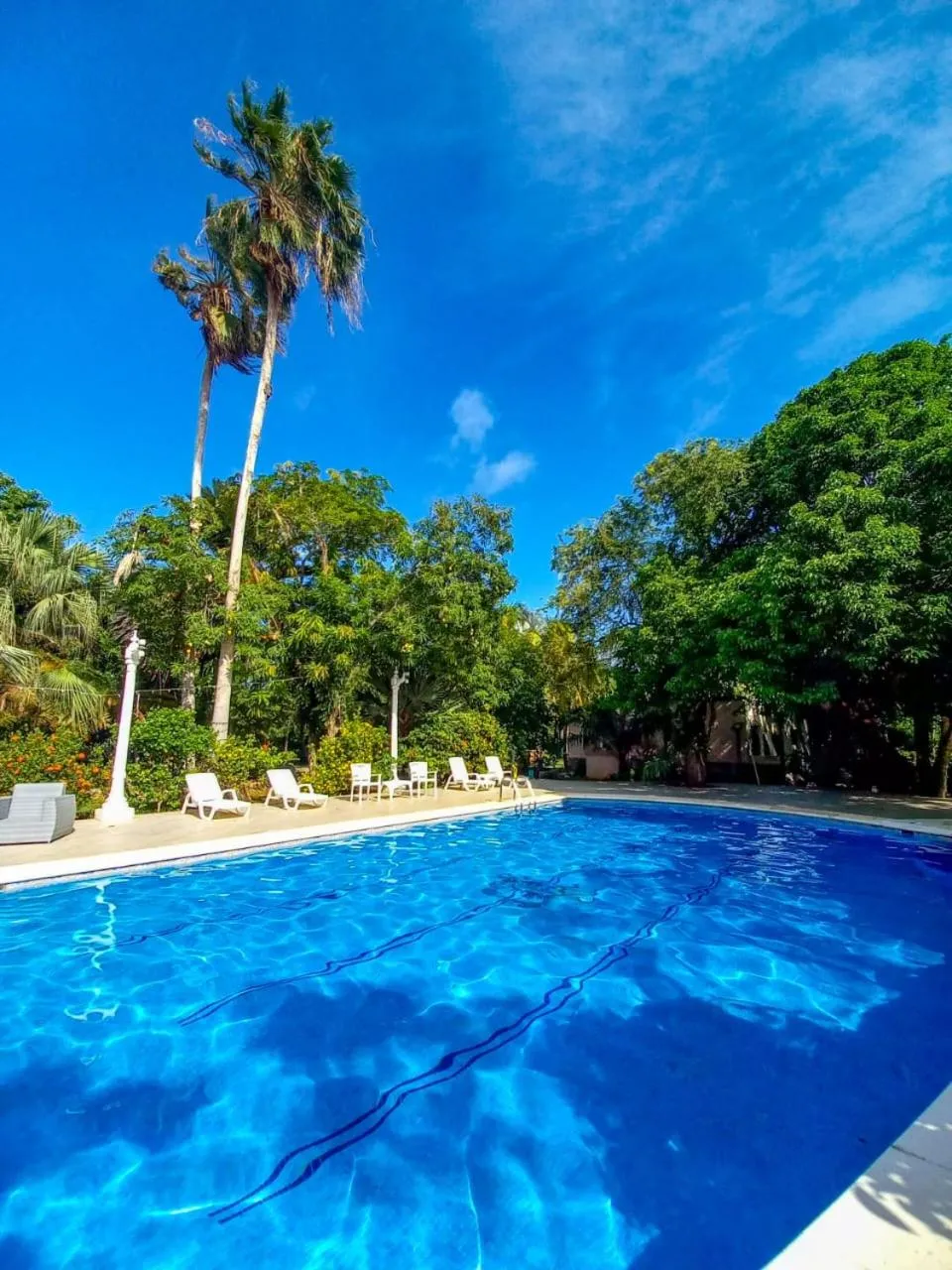Swimming pool in Casa Las Palmas Hotel Boutique