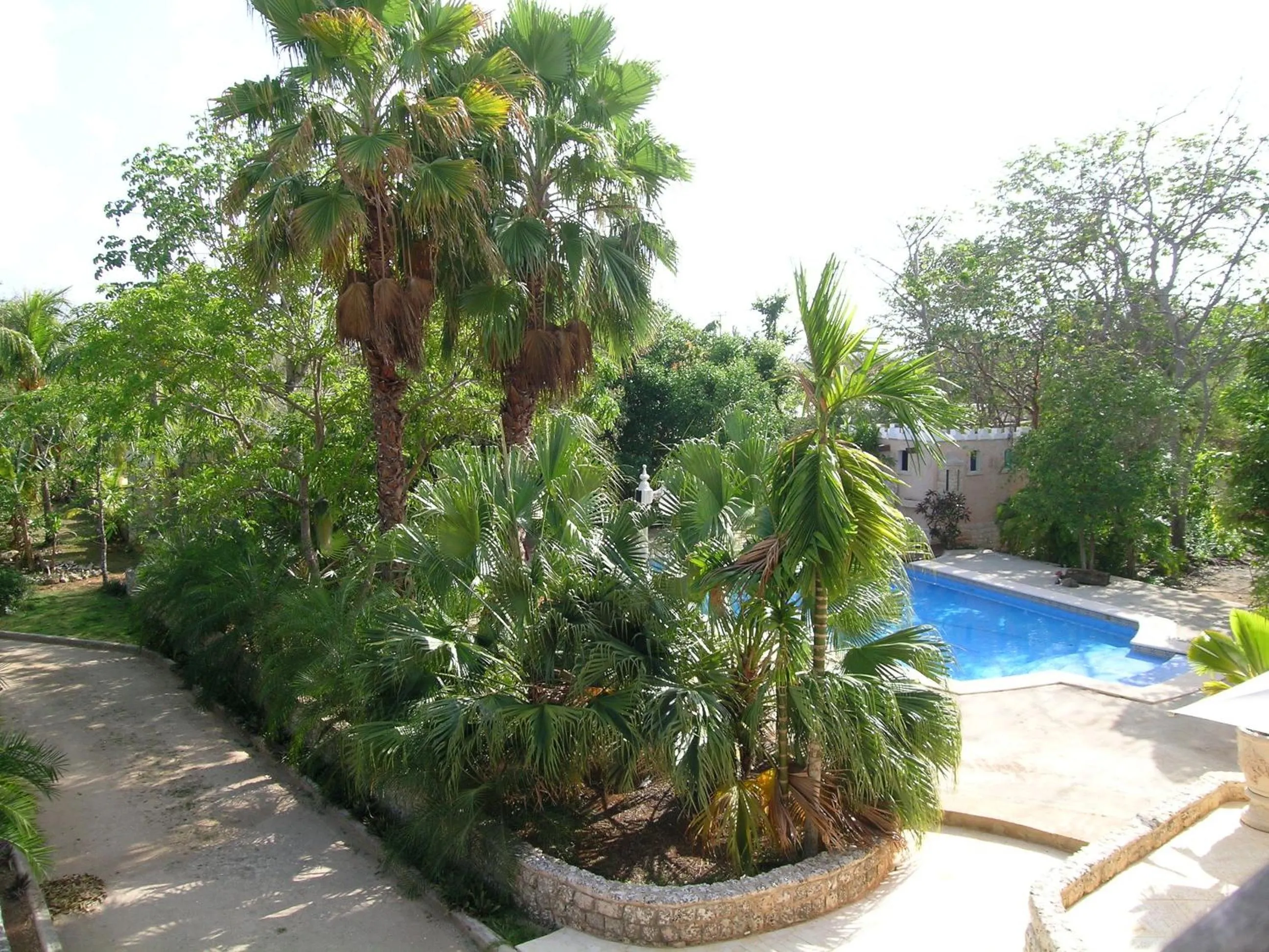 Garden in Casa Las Palmas Hotel Boutique
