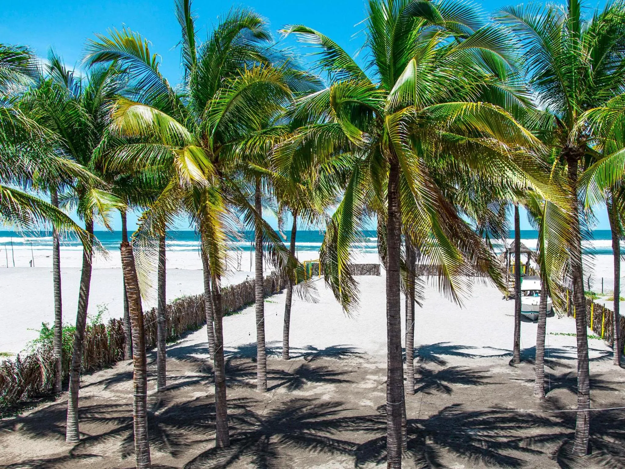 Beach in Hotel Bahia del Sol