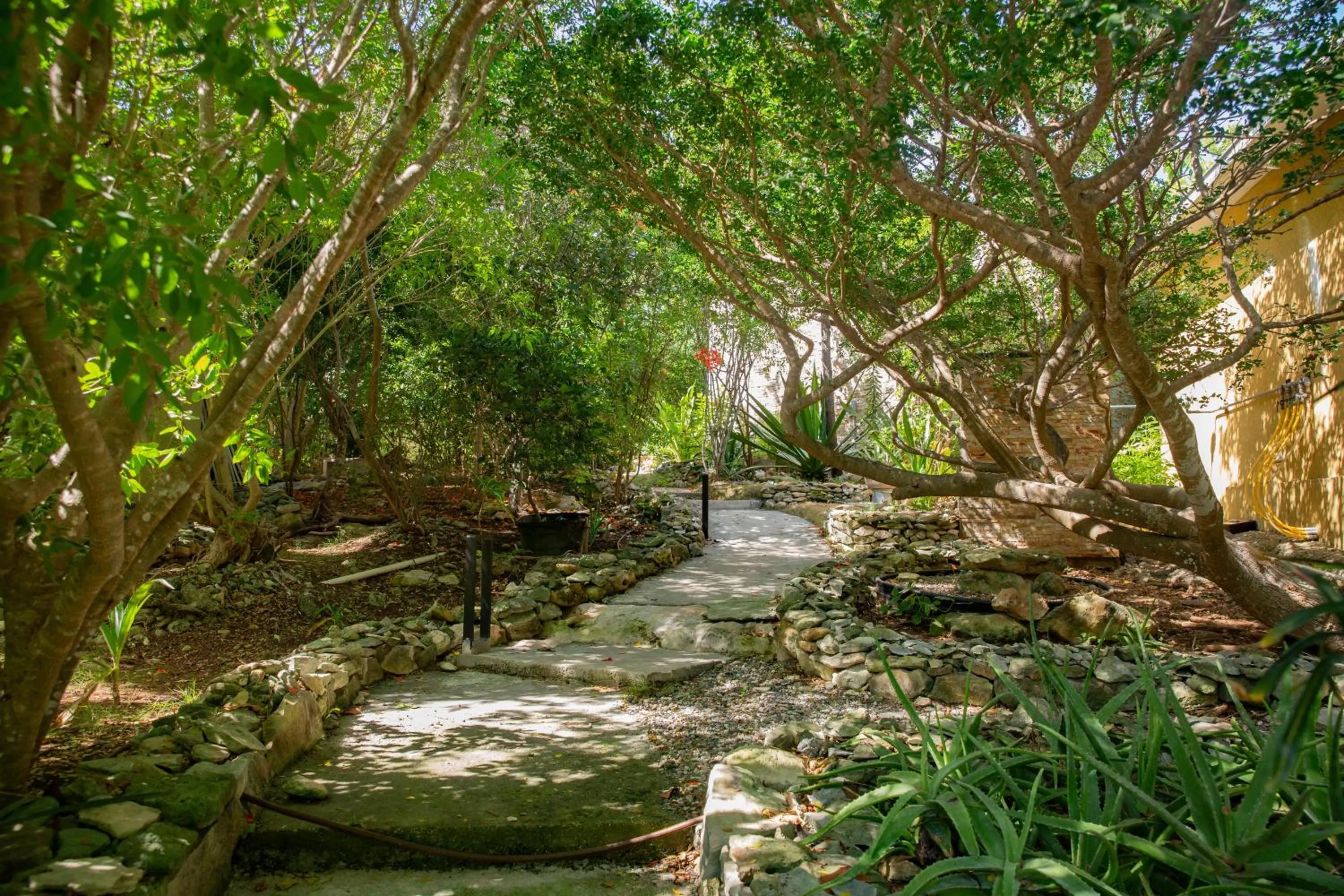 Garden in Kokomo Botanical Resort - Caribbean Family Cottages