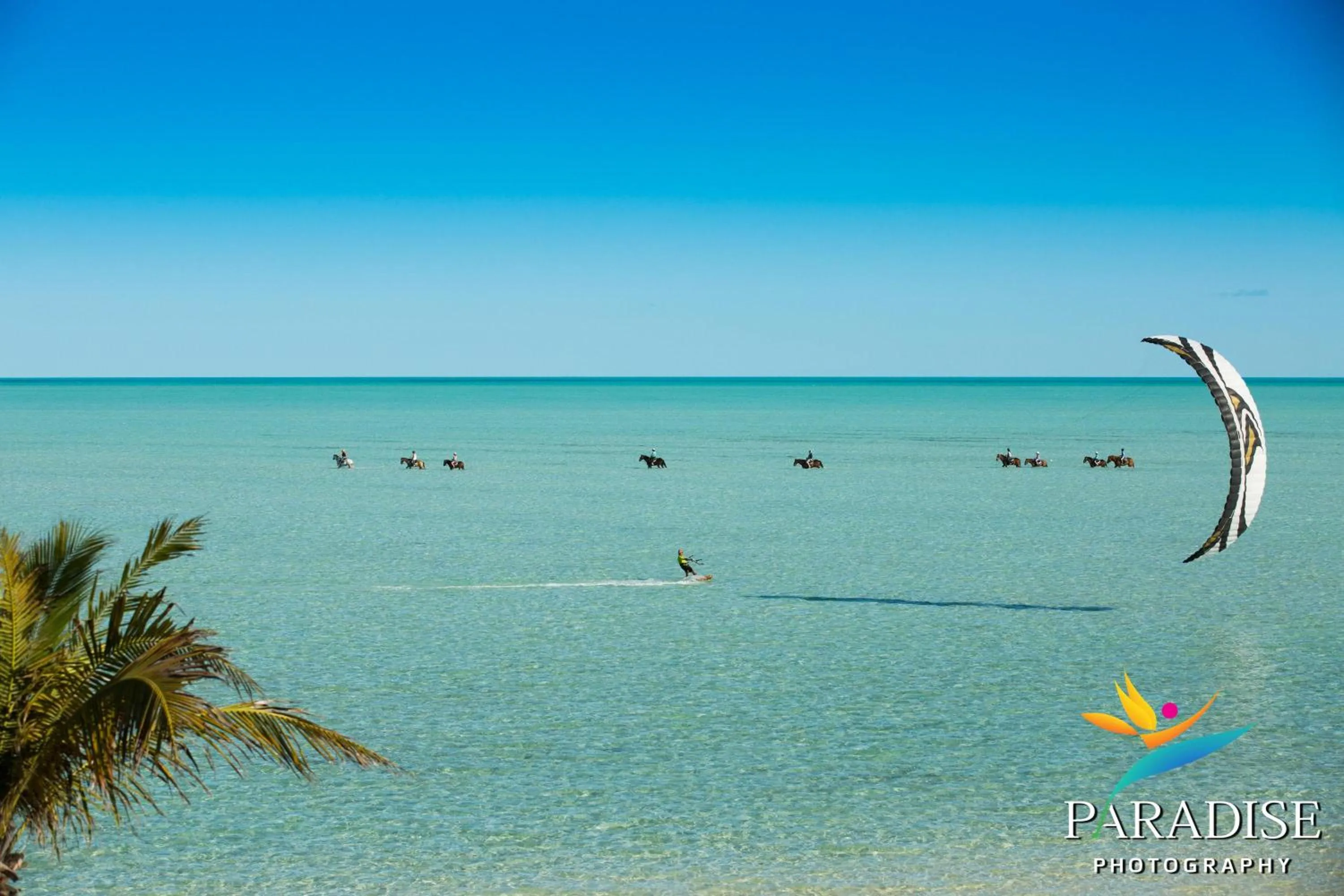 Activities in Kokomo Botanical Resort - Caribbean Family Cottages