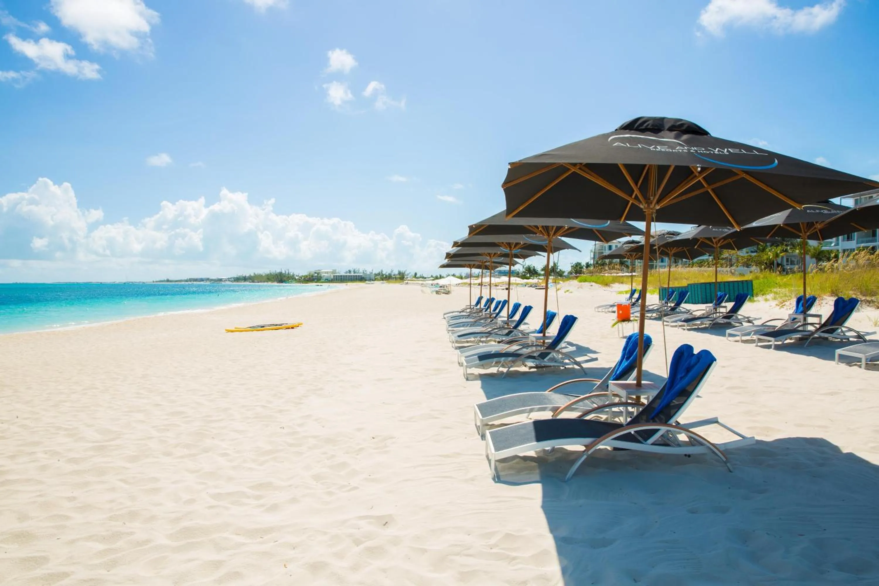 Beach in Kokomo Botanical Resort - Caribbean Family Cottages