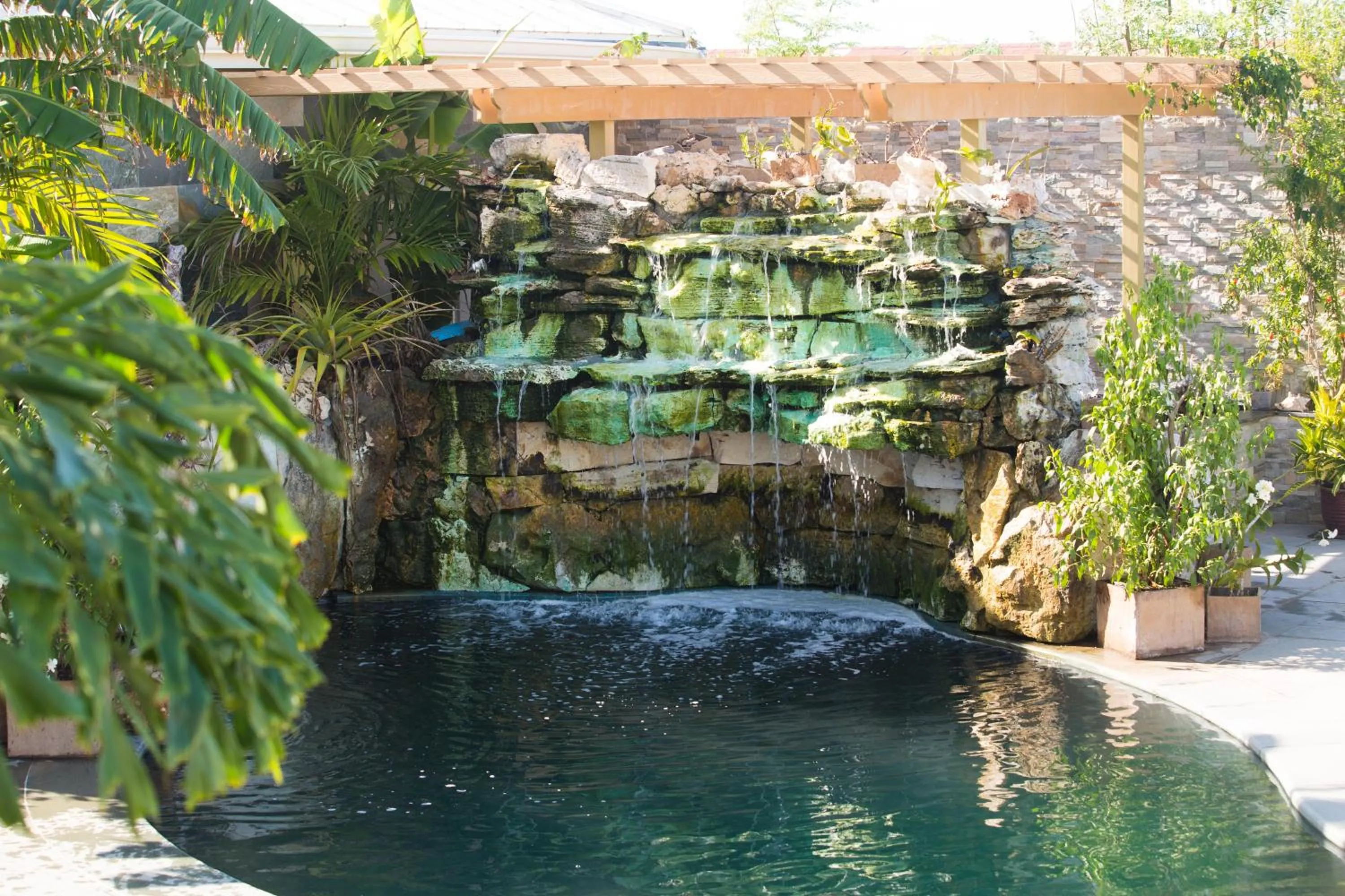 Swimming pool in Kokomo Botanical Resort - Caribbean Family Cottages