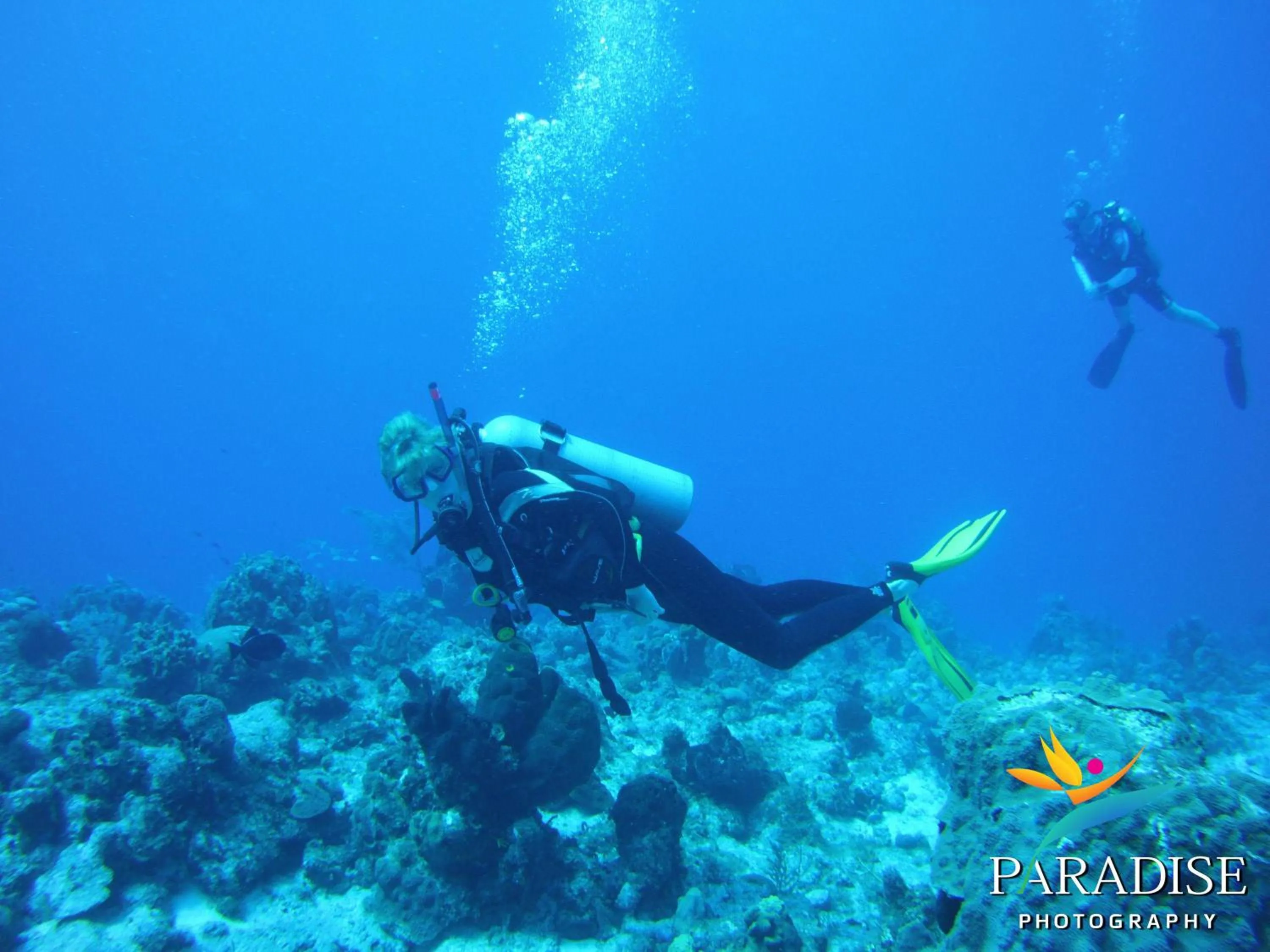 Activities in Kokomo Botanical Resort - Caribbean Family Cottages