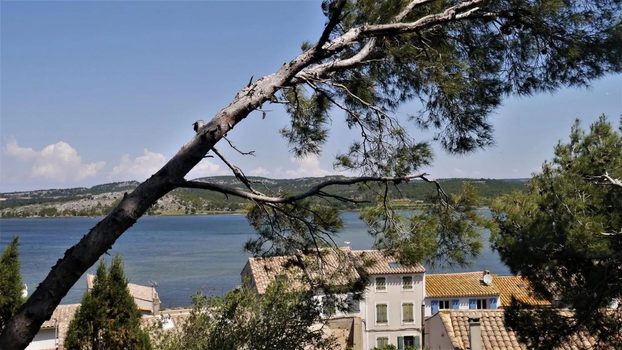 Natural landscape in Hotel du Mas