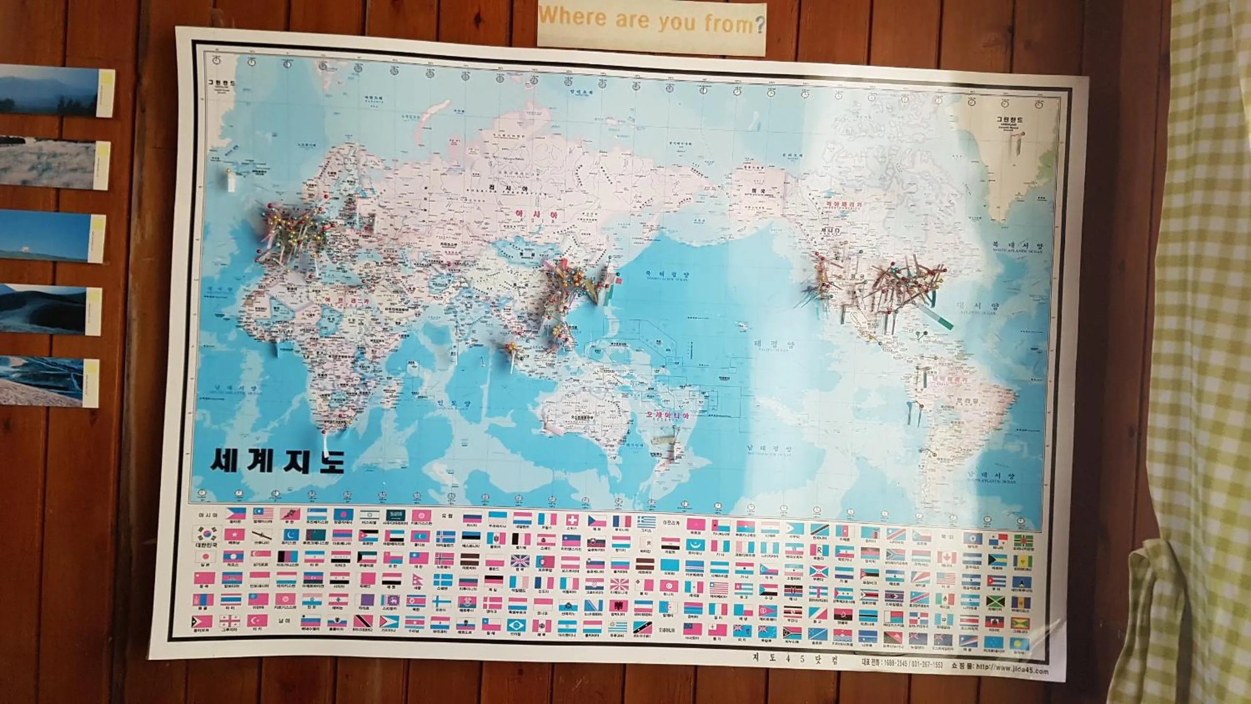 Guesthouse Spring Flower