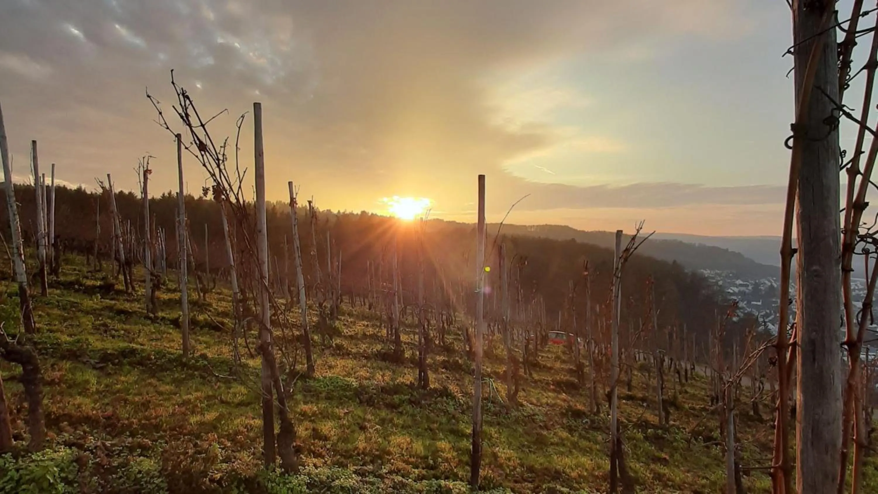 Nearby landmark in Holiday Inn Express - Trier by IHG