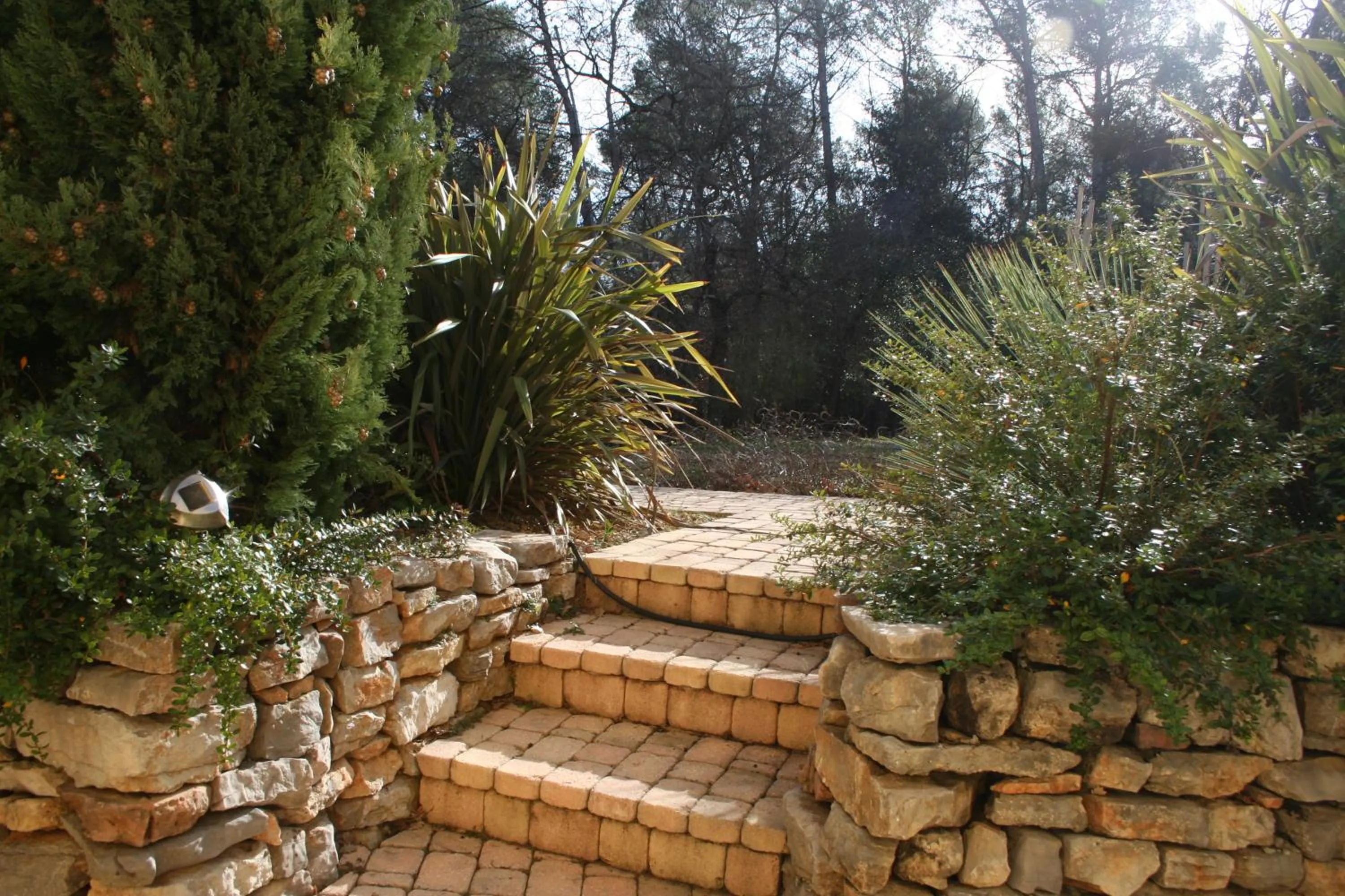 Garden in LE MAS DES TARENTES Chambres d'hôtes