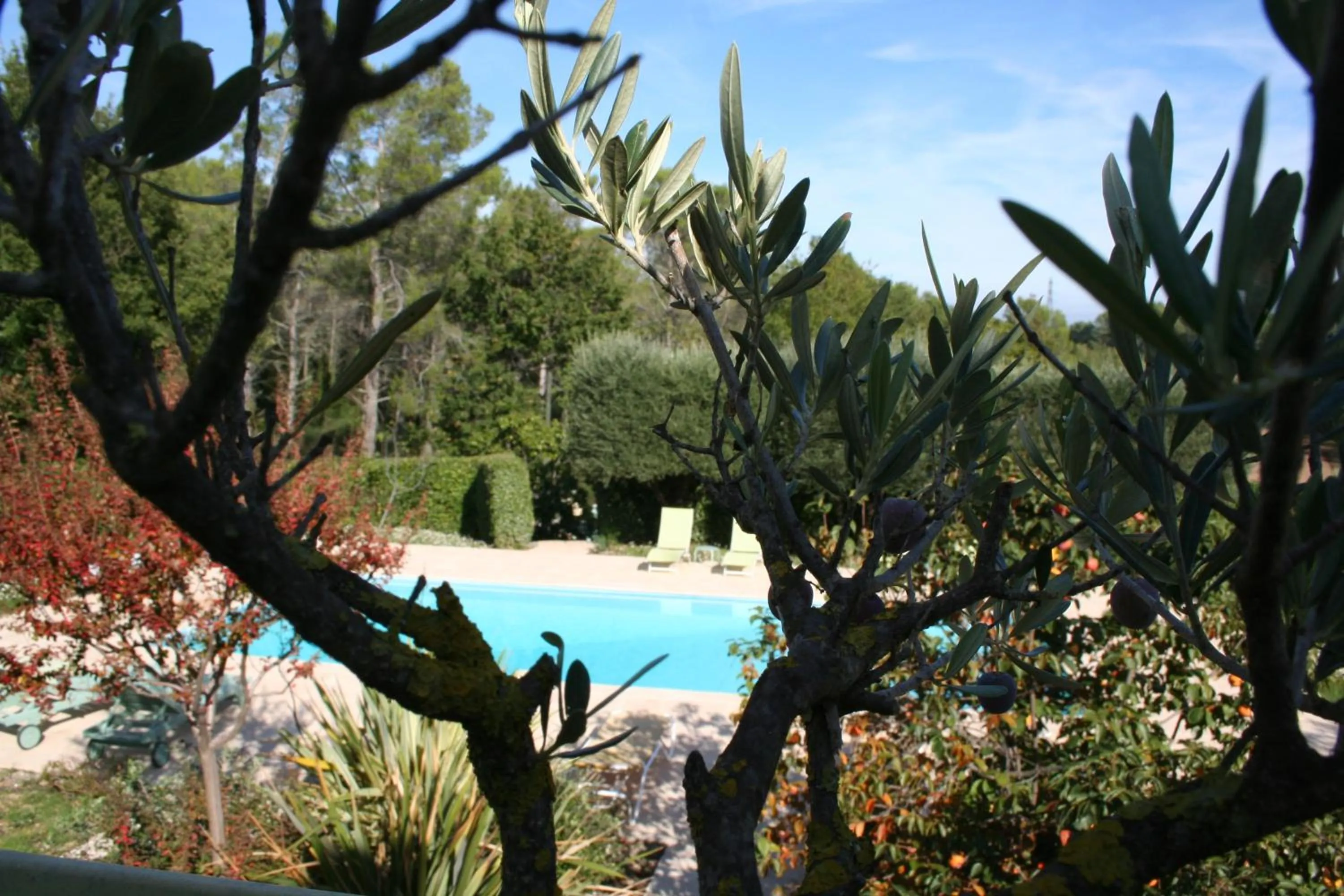 Pool view in LE MAS DES TARENTES Chambres d'hôtes