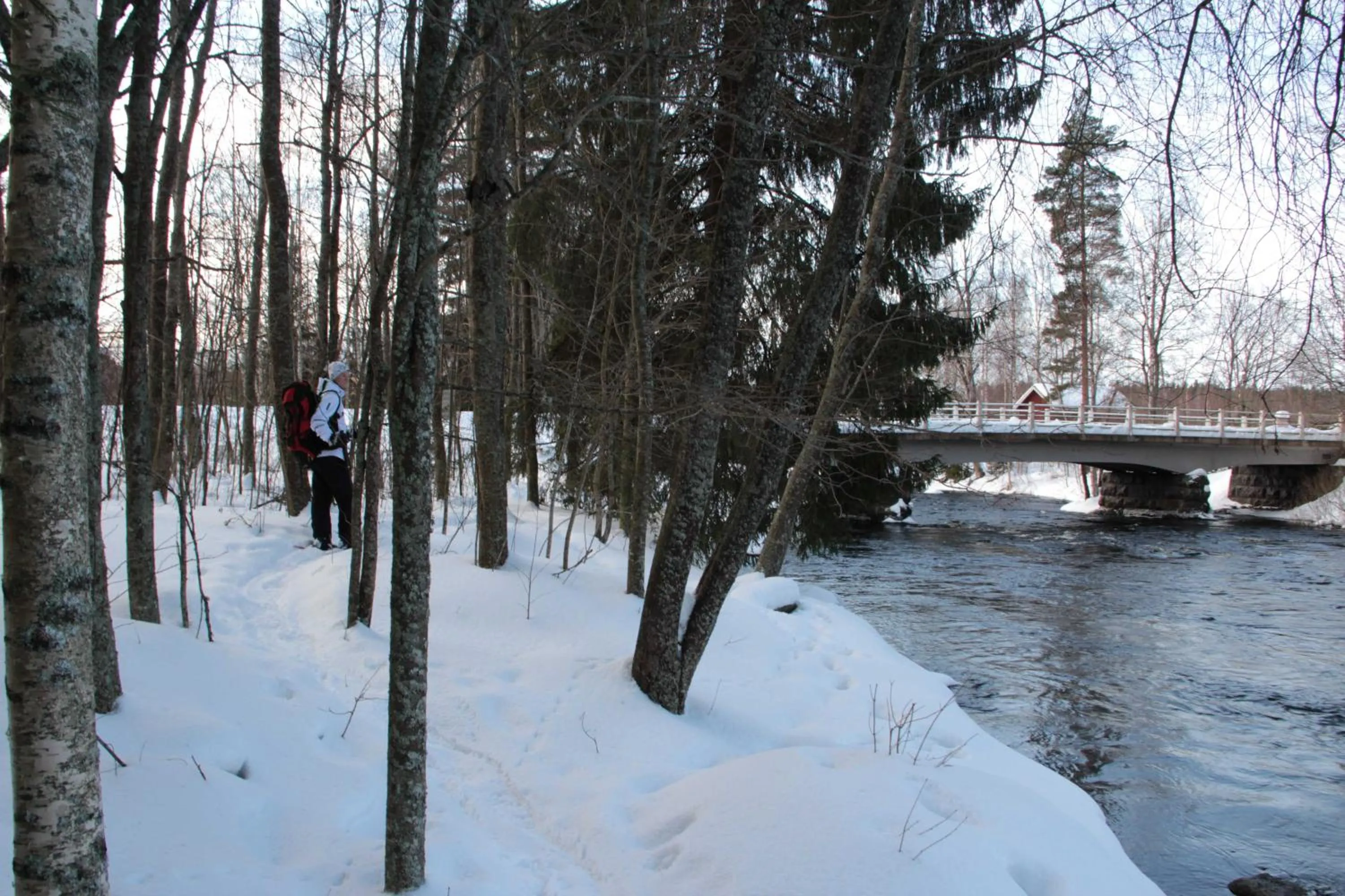 Natural landscape in Marttinen