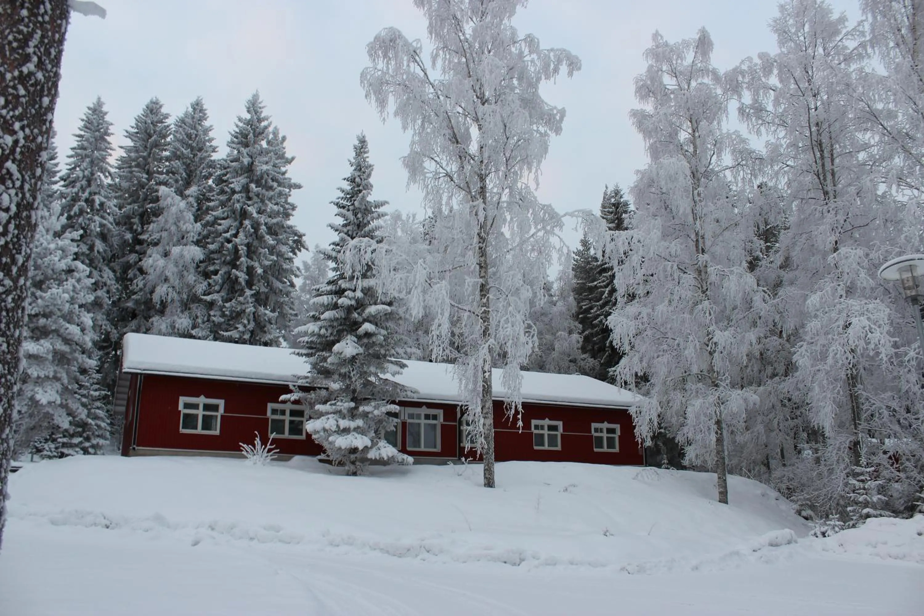 Property building in Marttinen