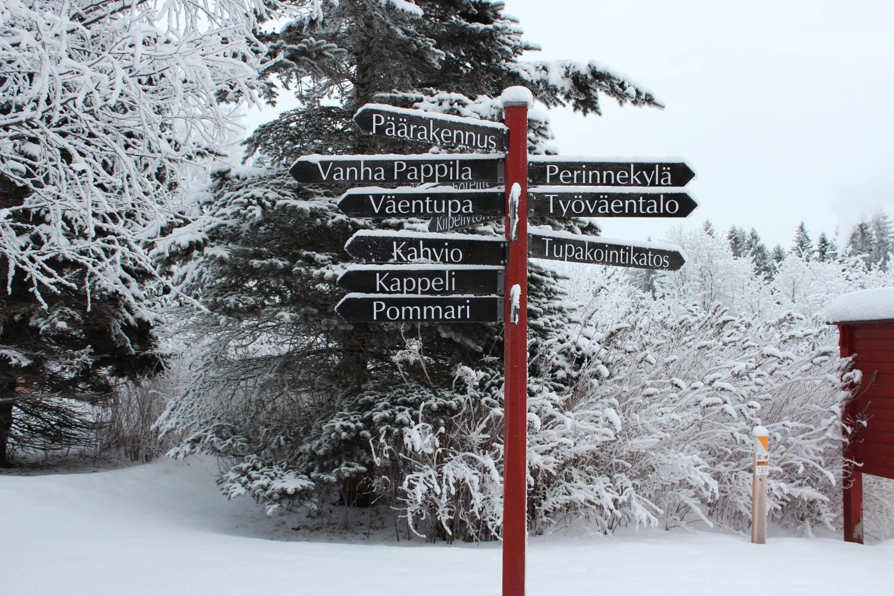 Winter in Marttinen