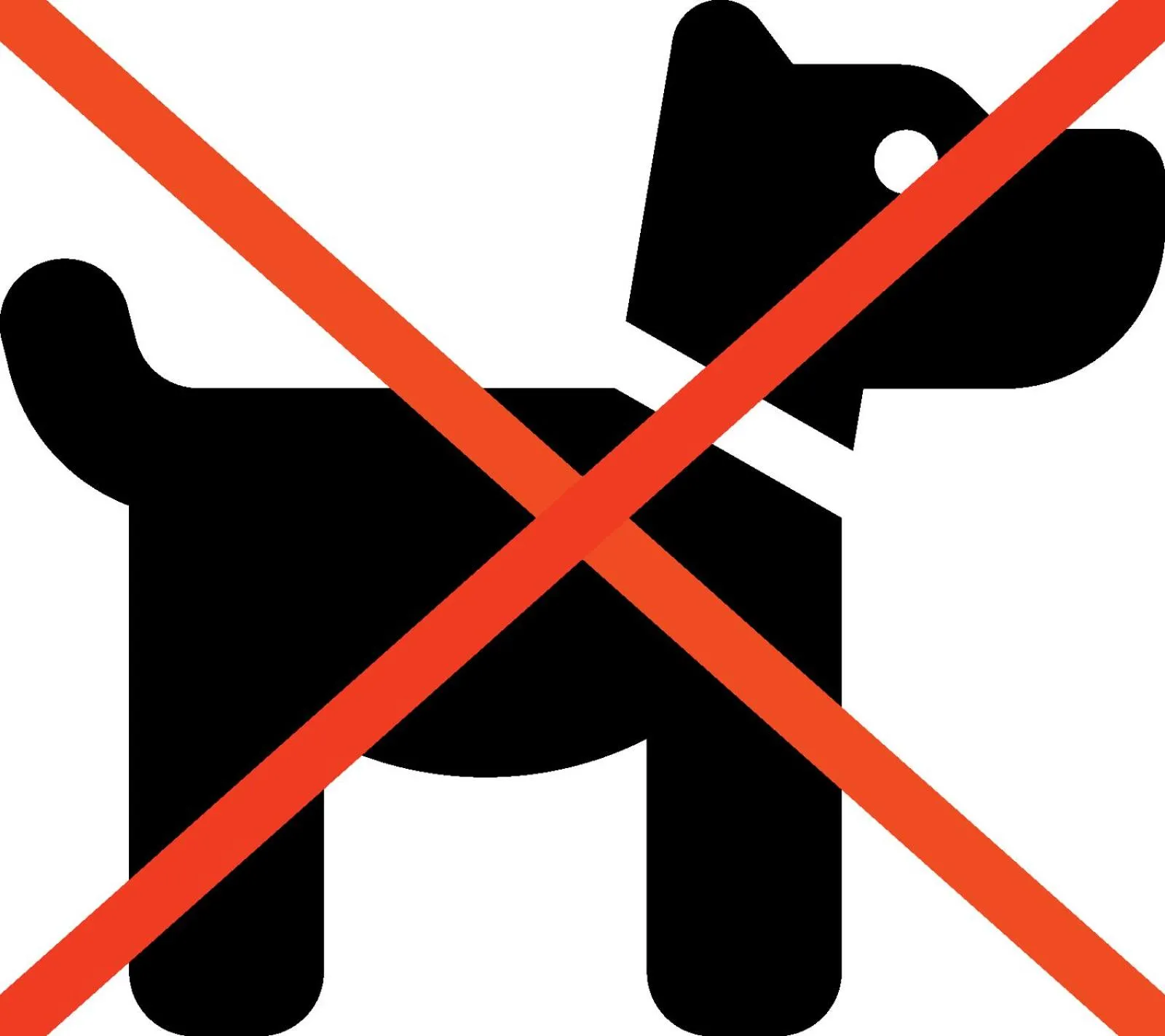 Pets in Marttinen