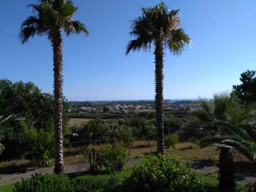 B&B Villa Le Palme Scalea