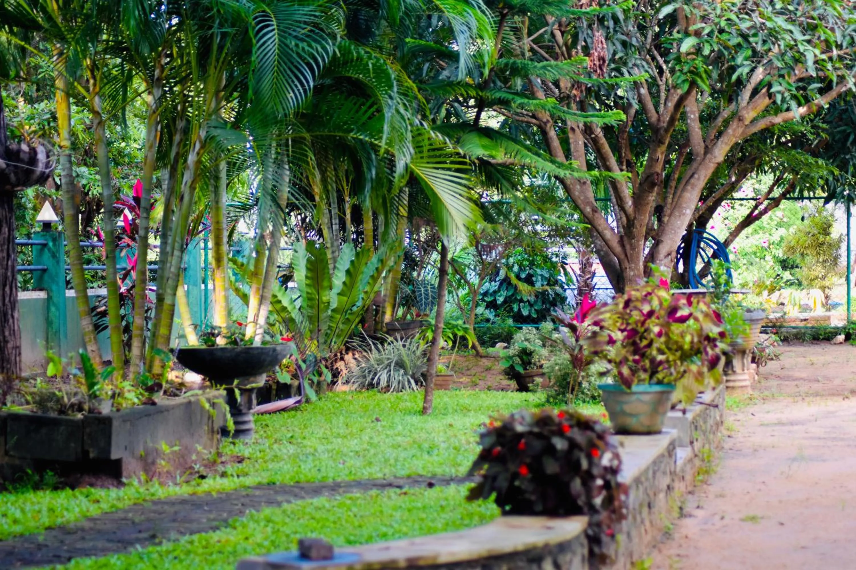 Garden in Sinhagiri Villa