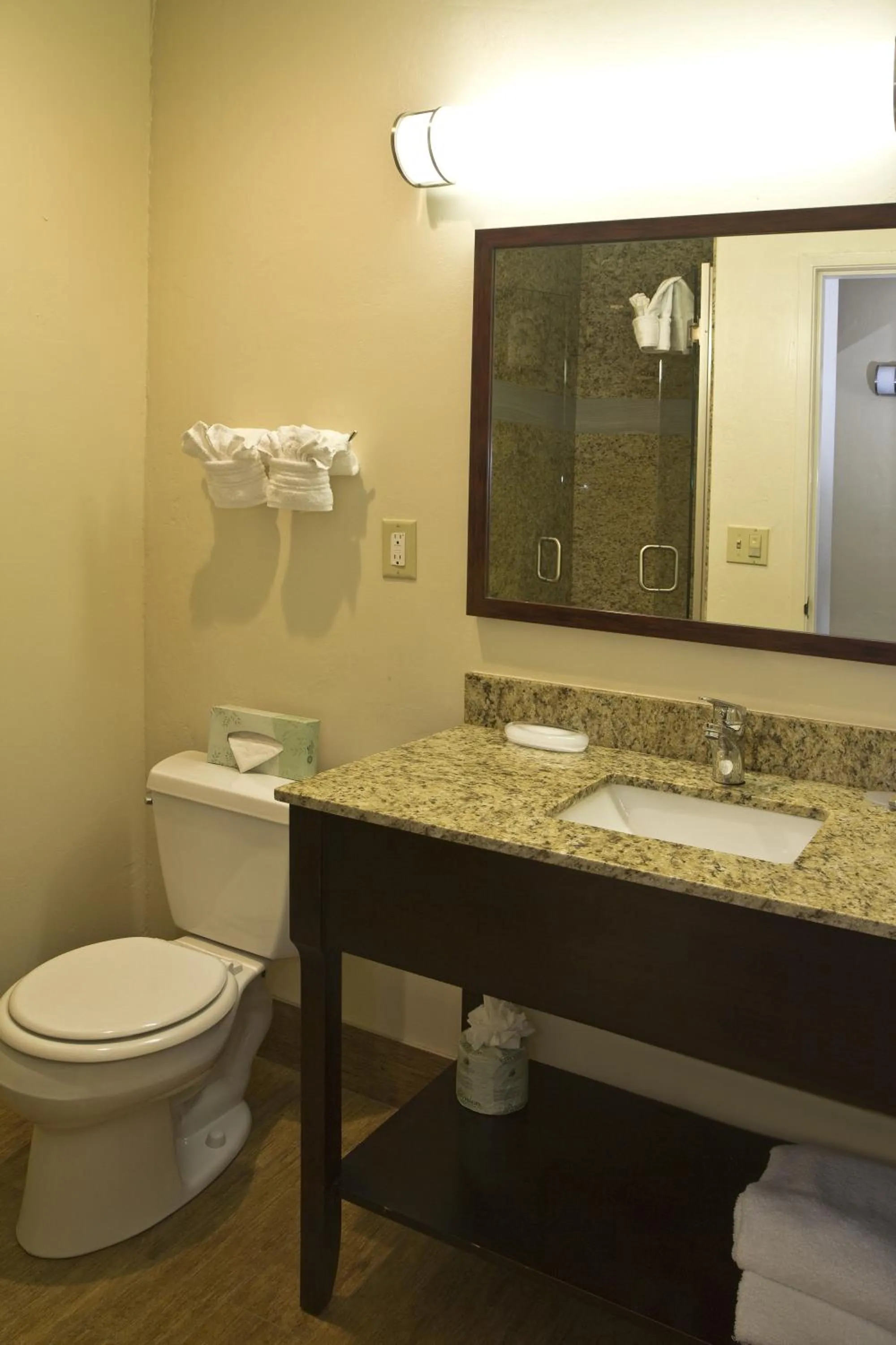 Toilet in The Stevenson Monterey