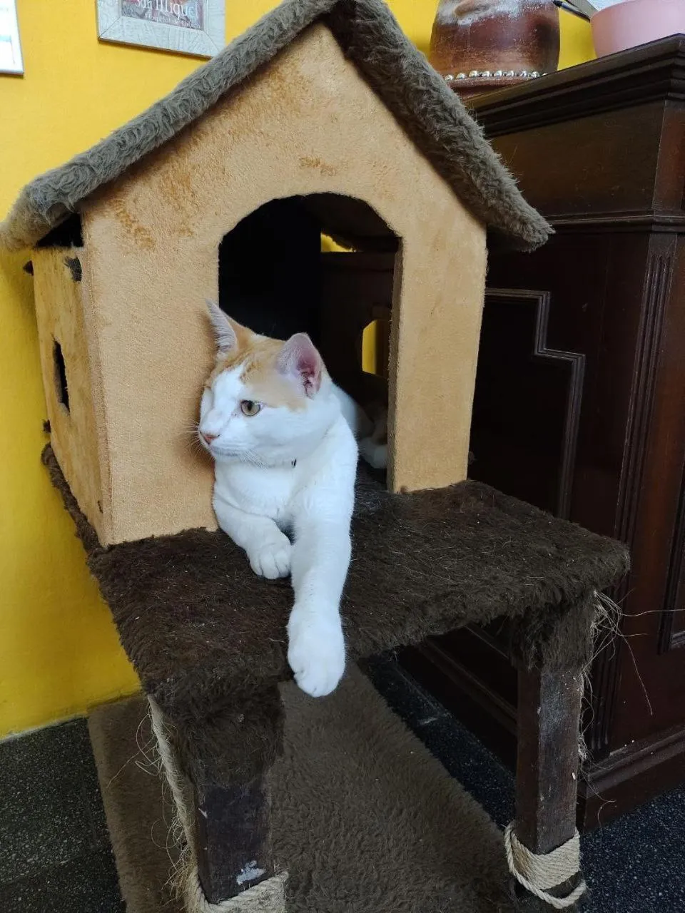 Zili Pernambuco - Hostel Pousada