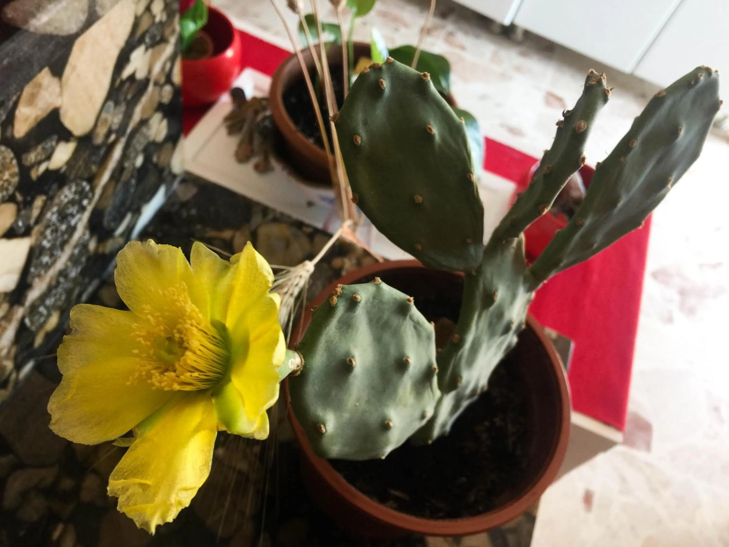 Decorative detail in Trinaco B&B