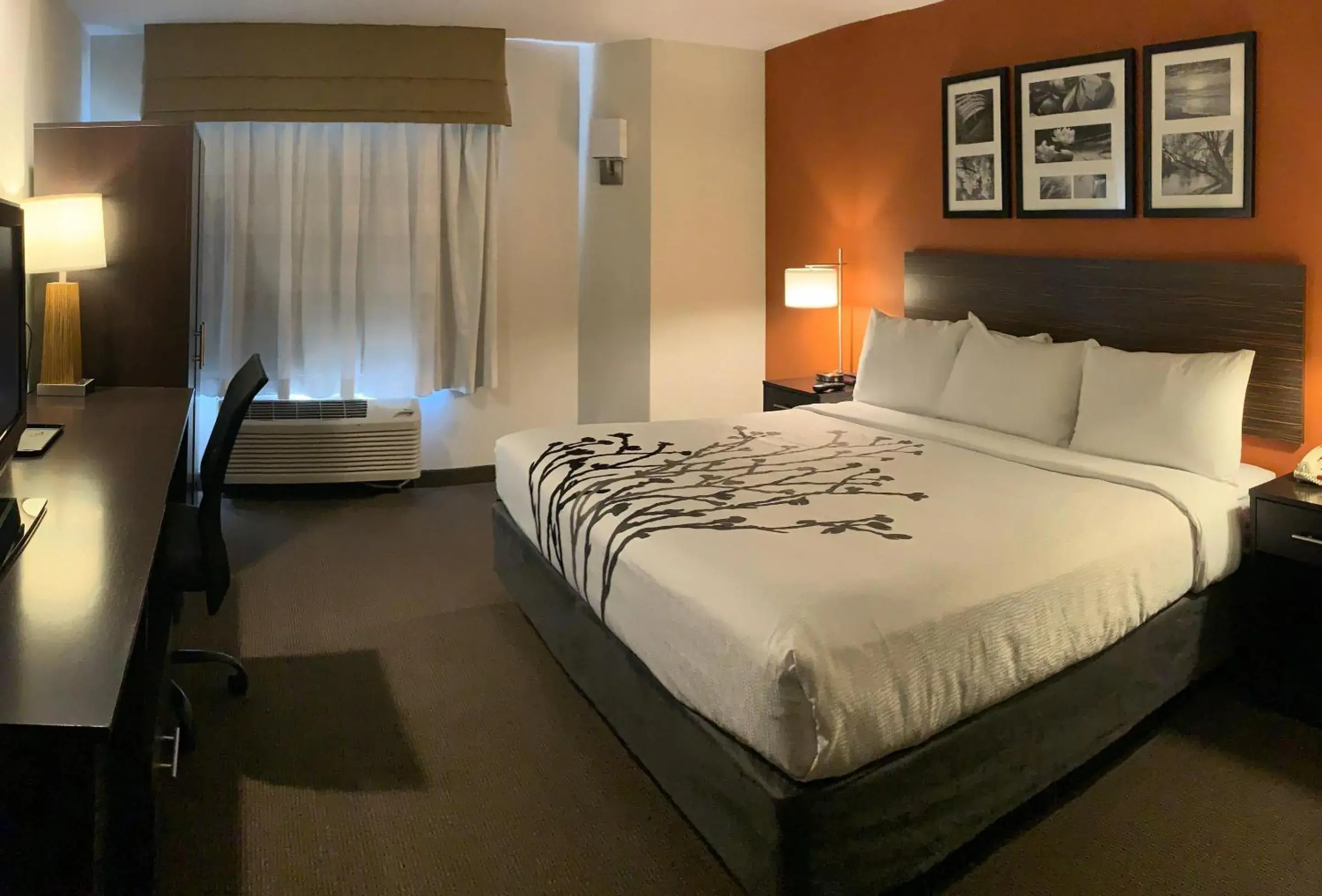 Bedroom, Bed in Sleep Inn Phoenix North I-17 Bedroom, Bed in Sleep Inn Phoenix North I-17