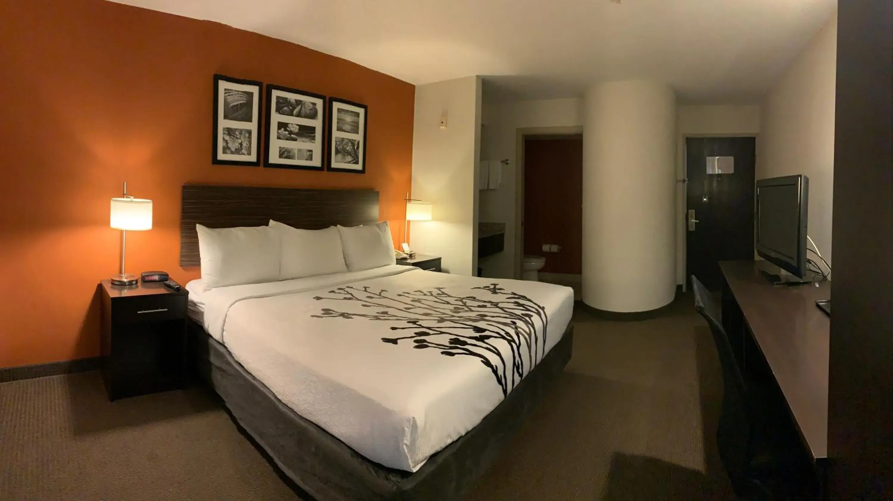 Bedroom in Sleep Inn Phoenix North I-17