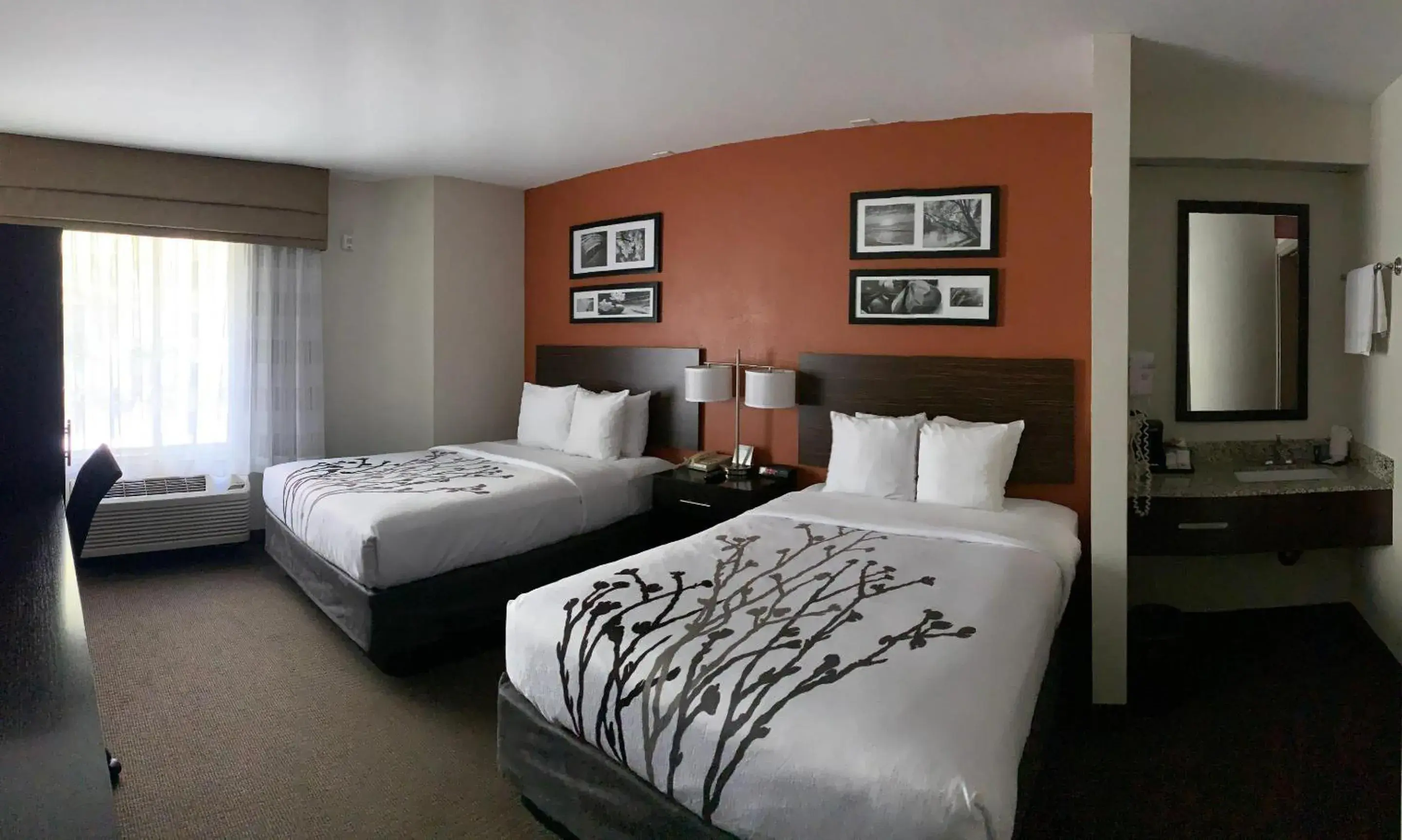 Double Room with Two Double Beds and Roll In Shower - Mobility Accessible/Non-Smoking in Sleep Inn Phoenix North I-17 Double Room with Two Double Beds and Roll In Shower - Mobility Accessible/Non-Smoking in Sleep Inn Phoenix North I-17