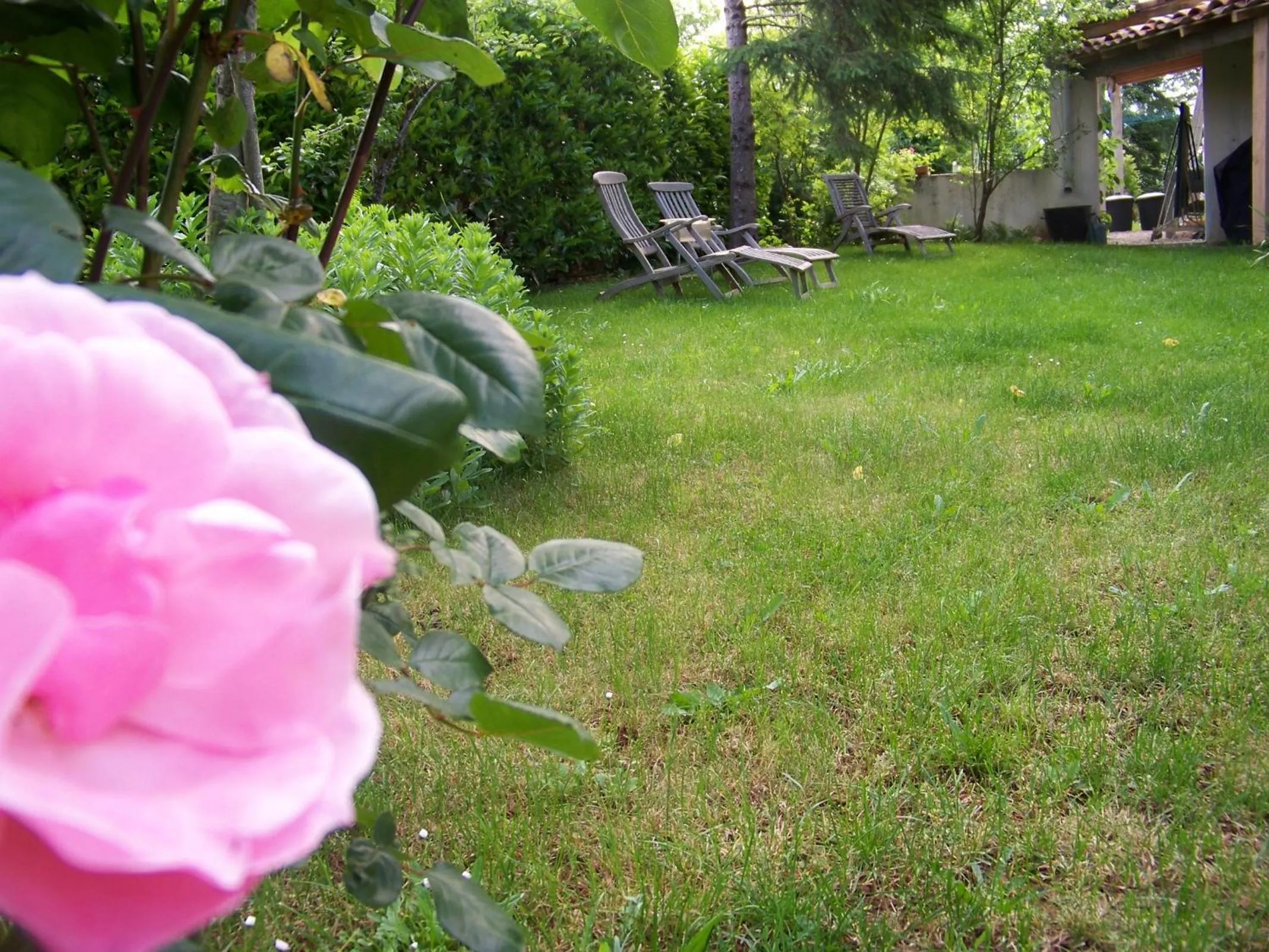 Garden in Domaine de Cadenne