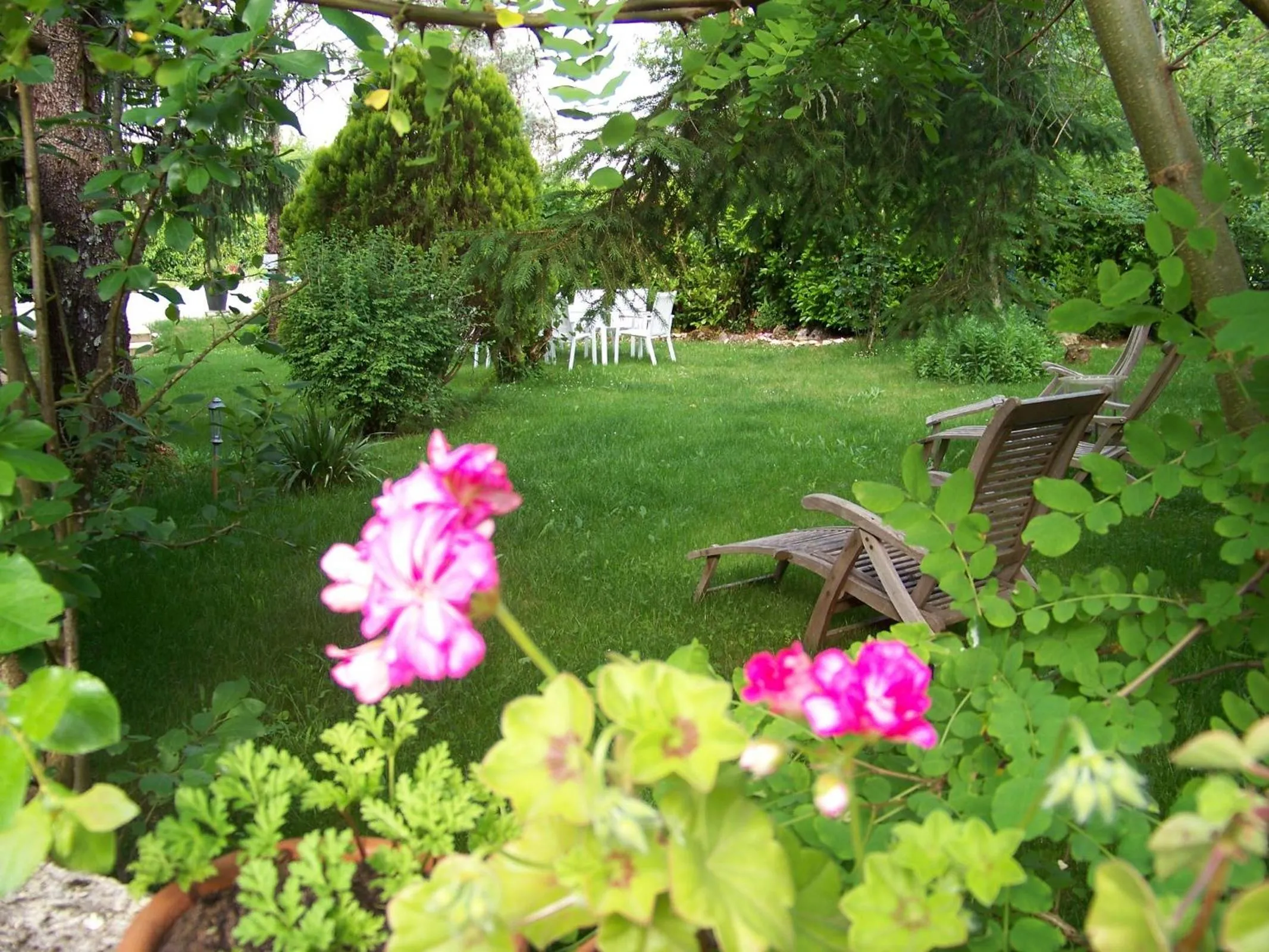 Garden in Domaine de Cadenne