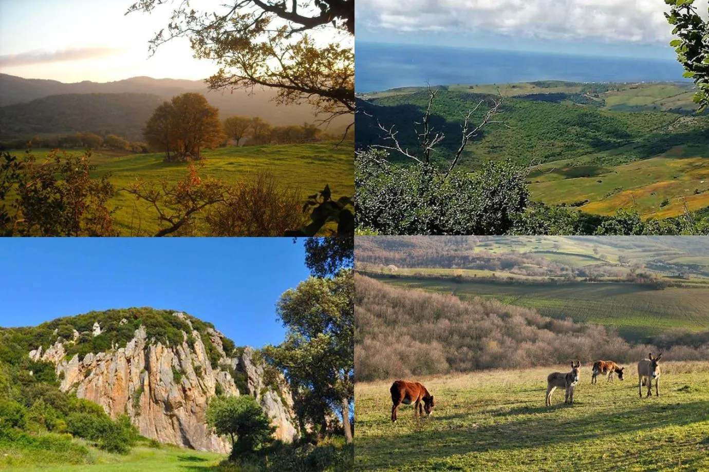 Off site in Le casette di Frà al Bondì