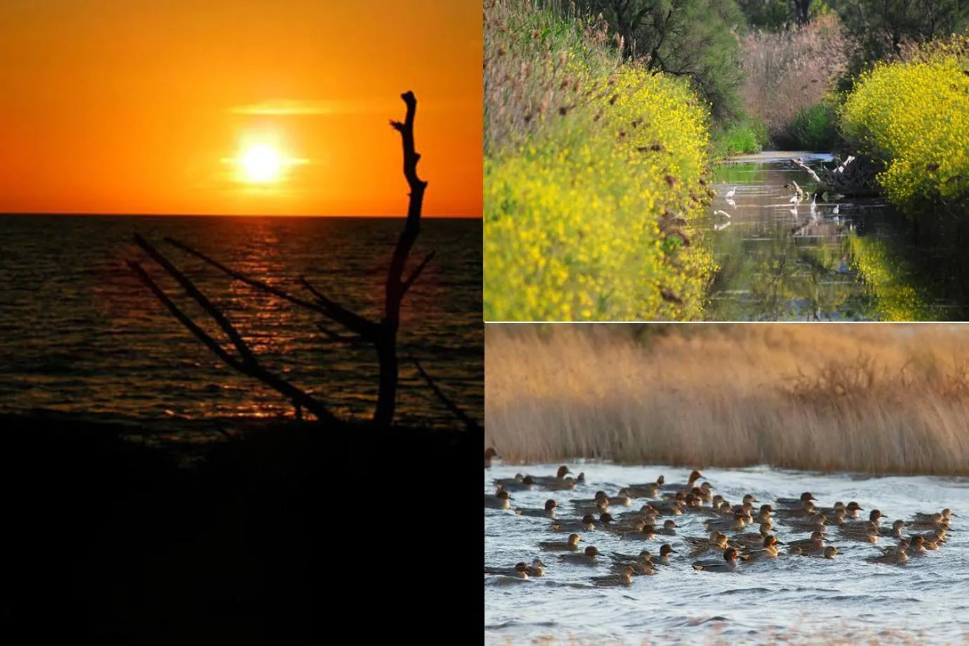 Entertainment in Le casette di Frà al Bondì