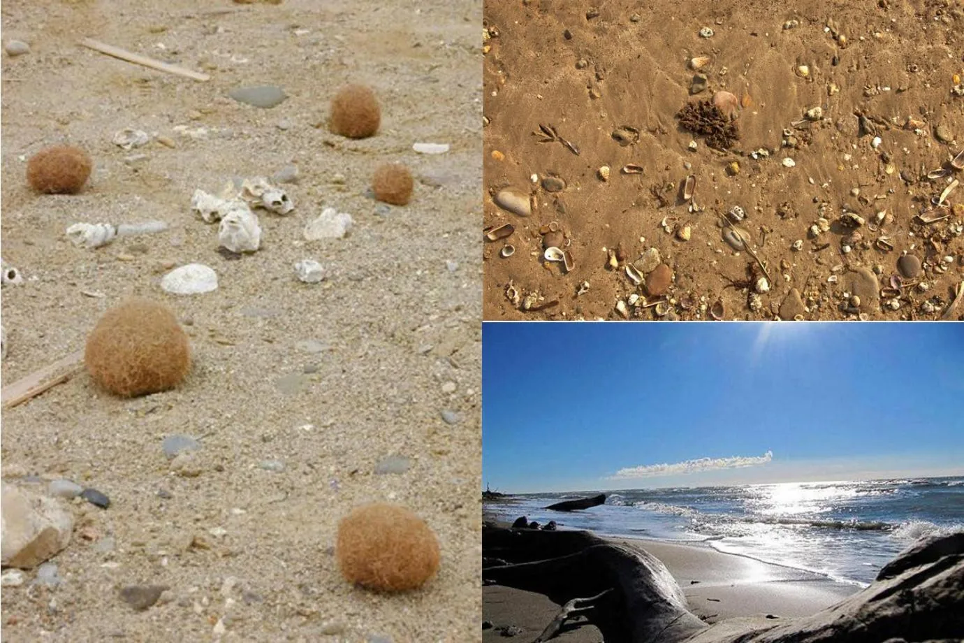 Beach in Le casette di Frà al Bondì