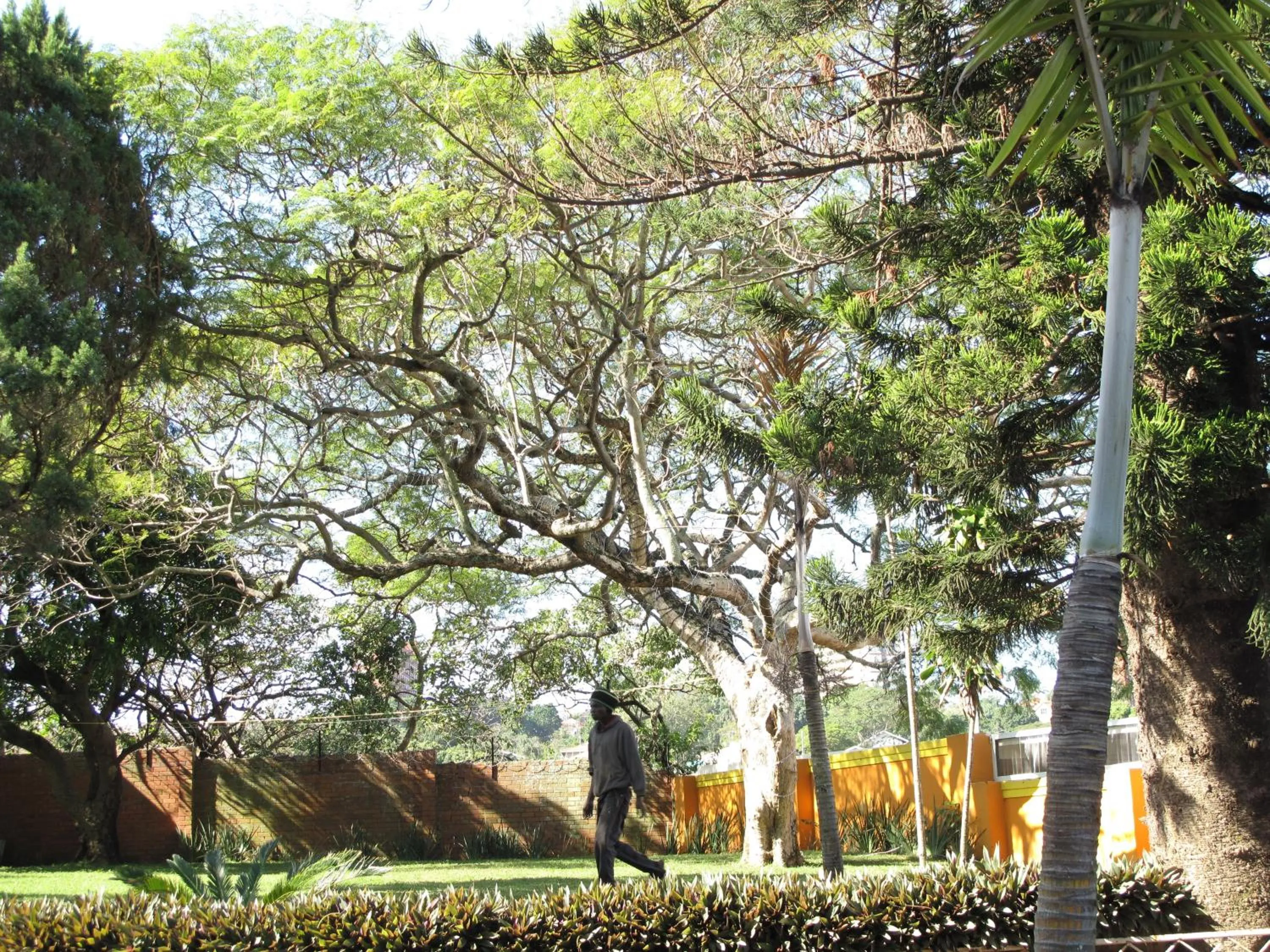 Day in The Crescent Guesthouses - BnB/Self Catering