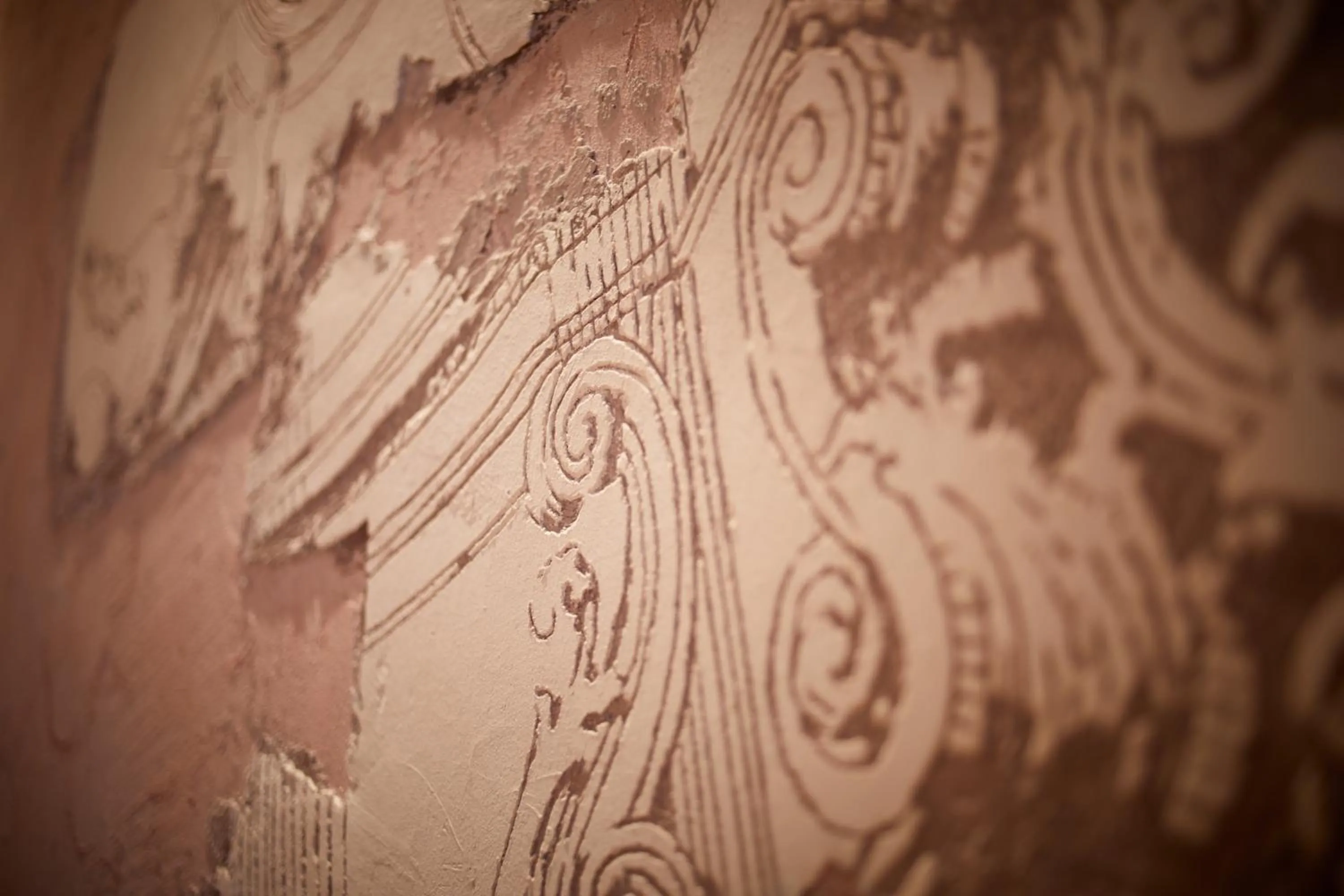 Ca' dei Proverbi Suites - WENICE Deep Culture