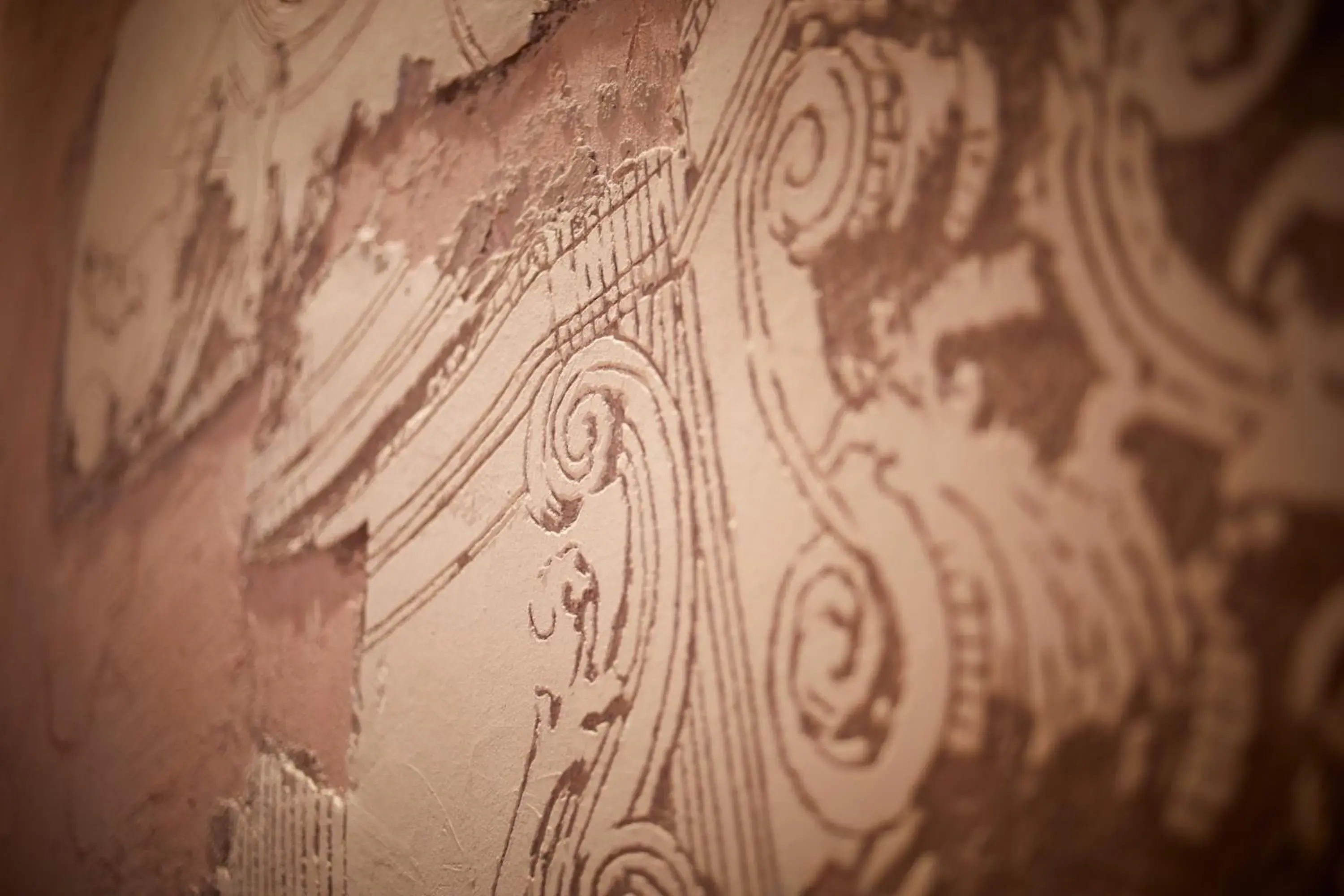 Ca' dei Proverbi Suites - WENICE Deep Culture Ca' dei Proverbi Suites - WENICE Deep Culture