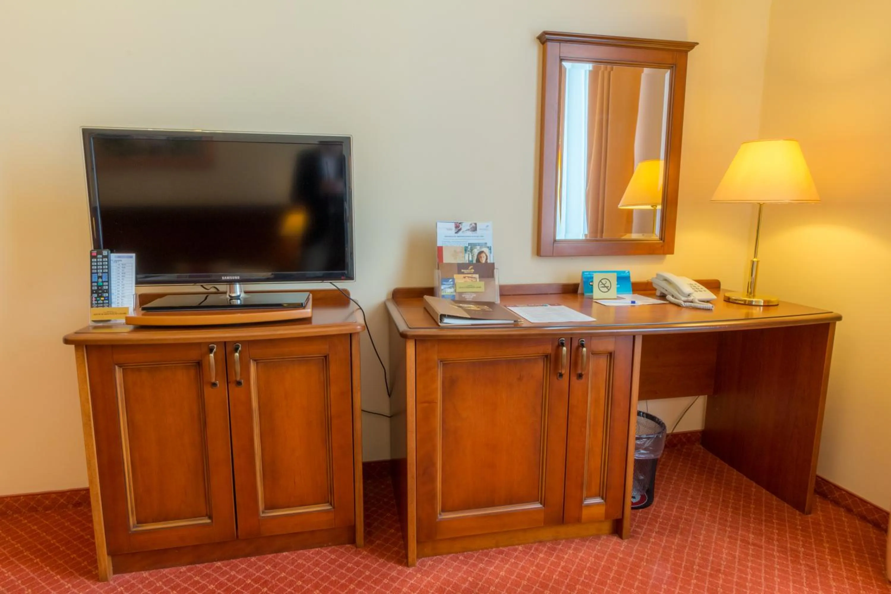 TV and multimedia in Ensana Centrální Lázně - Maria Spa