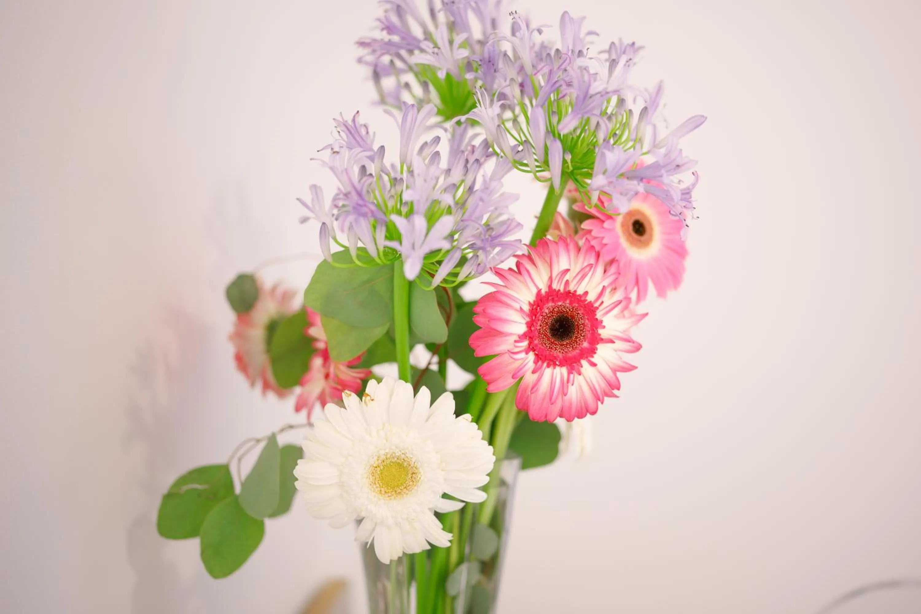 Decorative detail in Villa Maredona